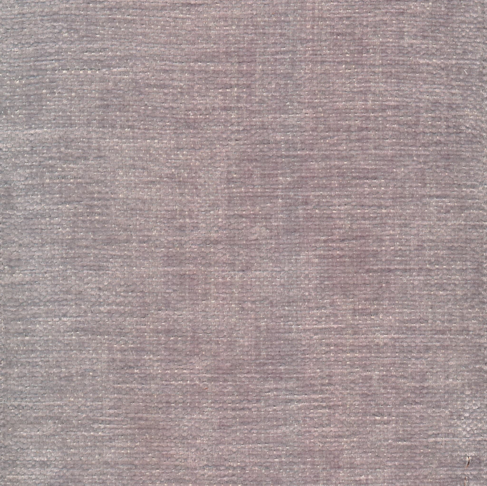 Image 180 dolphin
