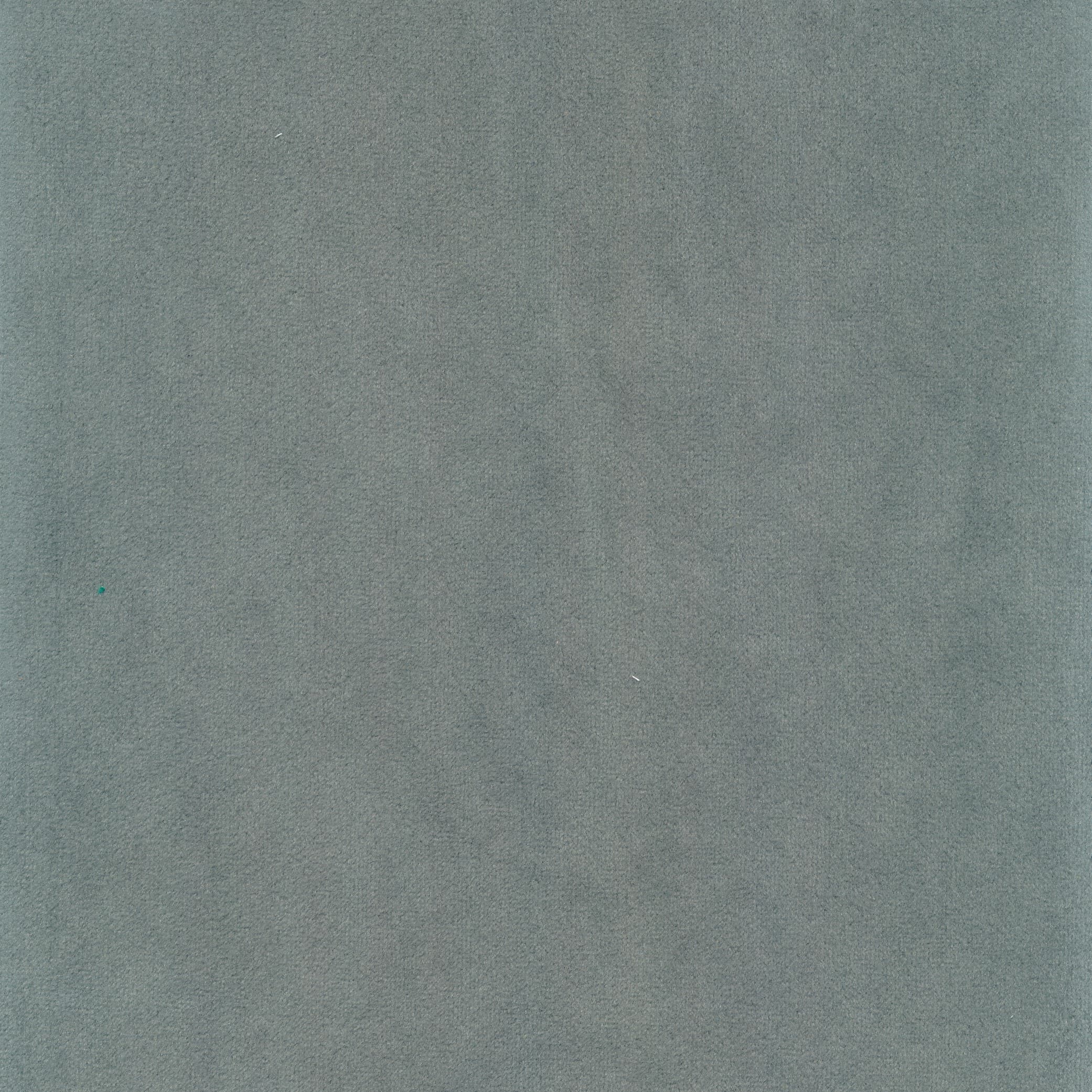 Seven 193 eucalyptus (T)
