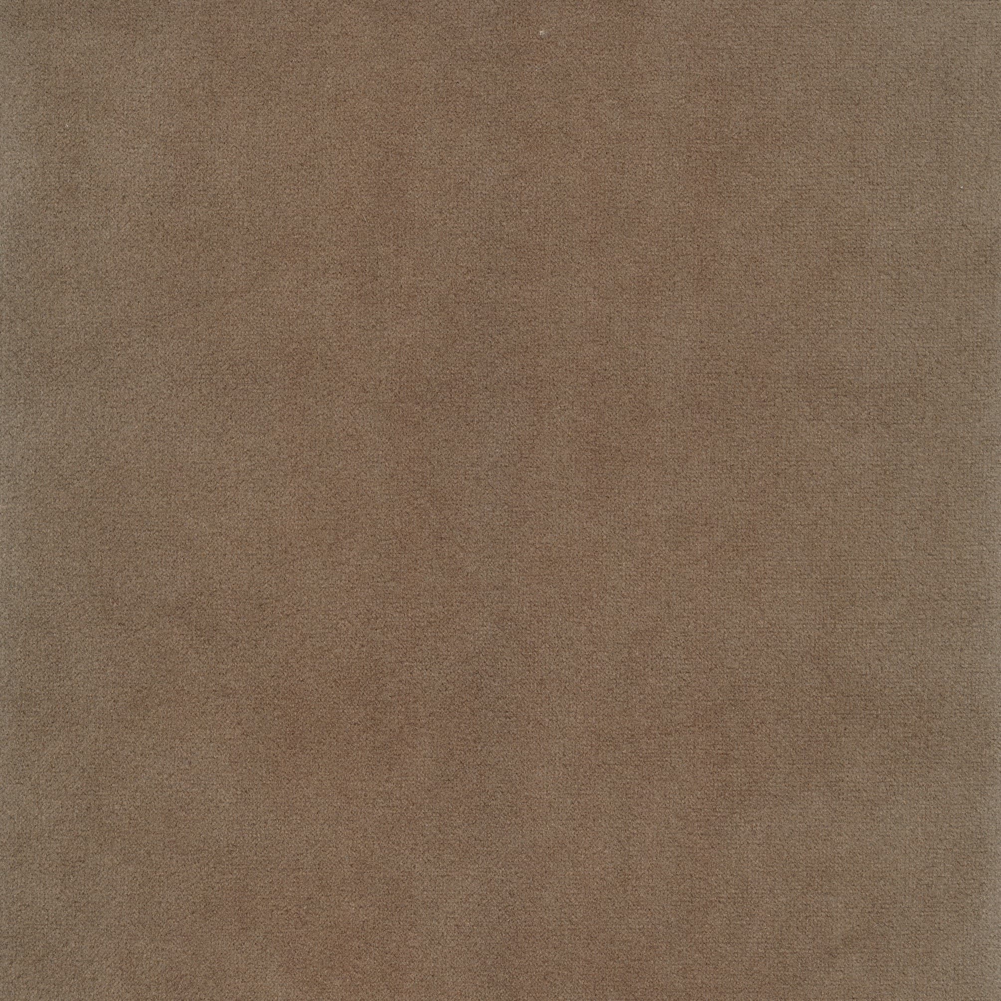 Seven 124 shitake (T)
