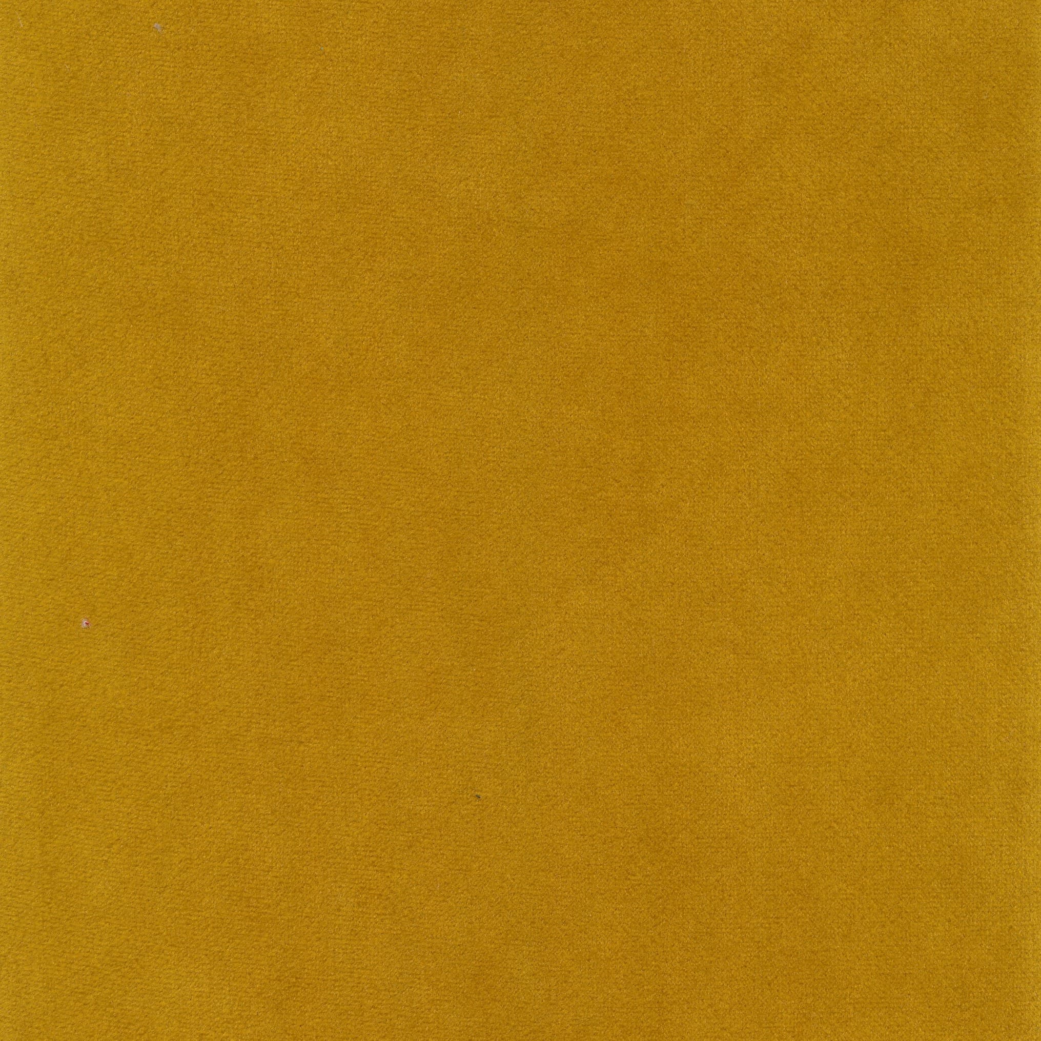Seven 23 ocre (T)