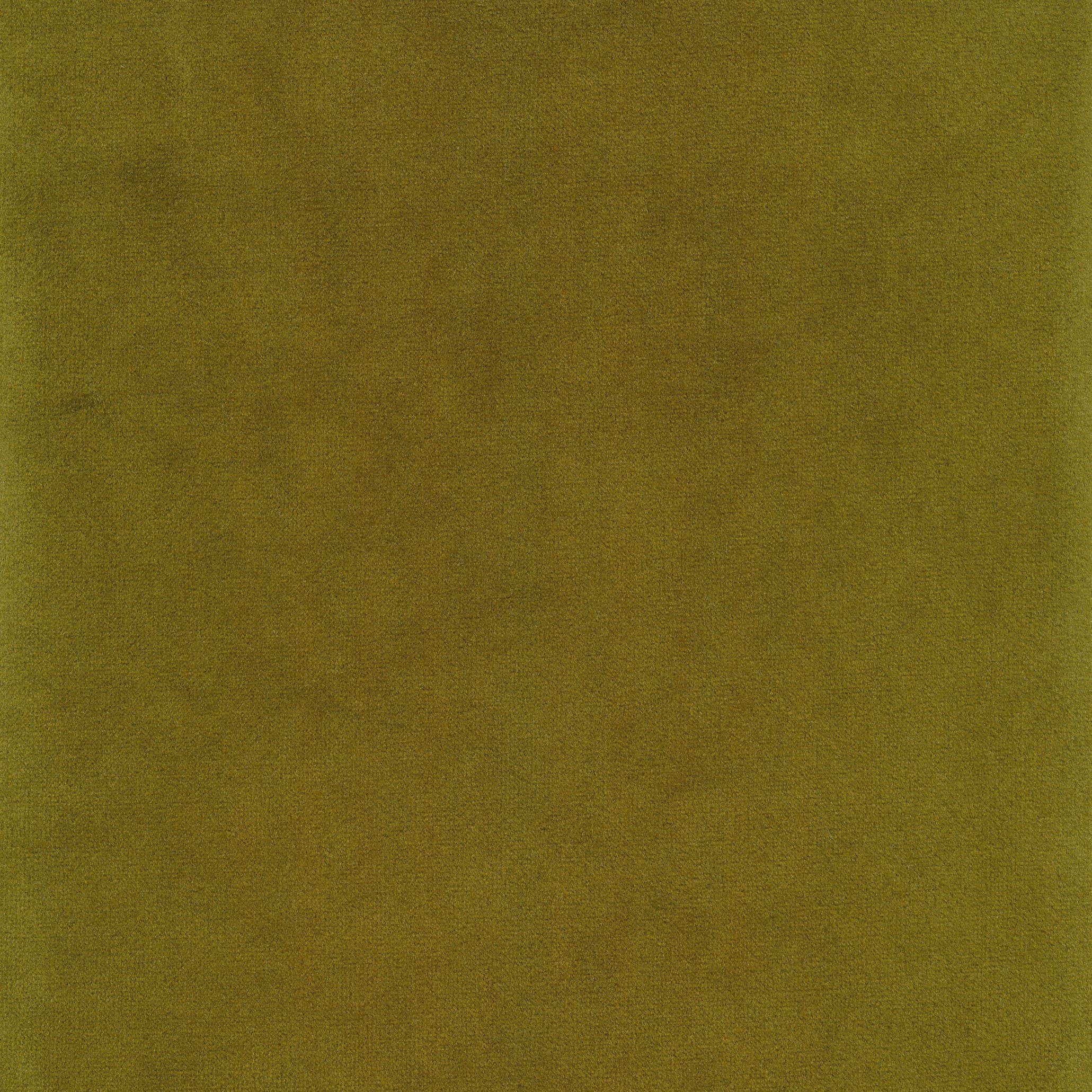 Seven 59 moss (T)