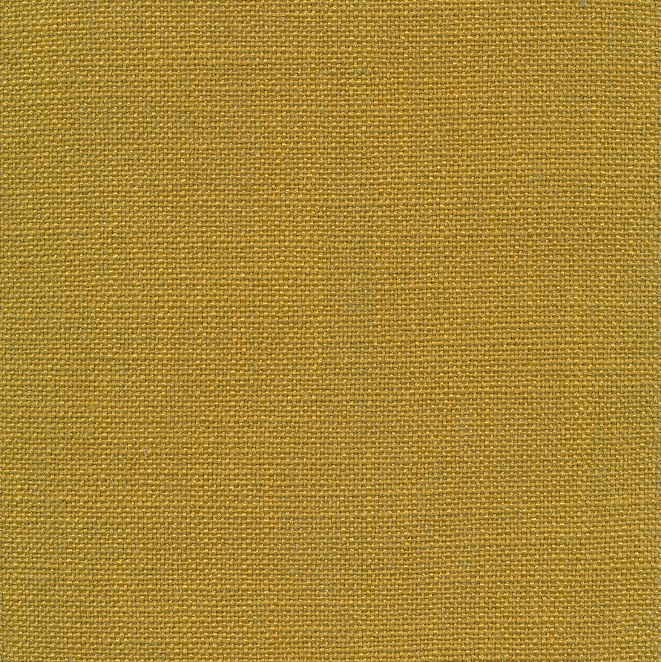 Casa 06 mustard