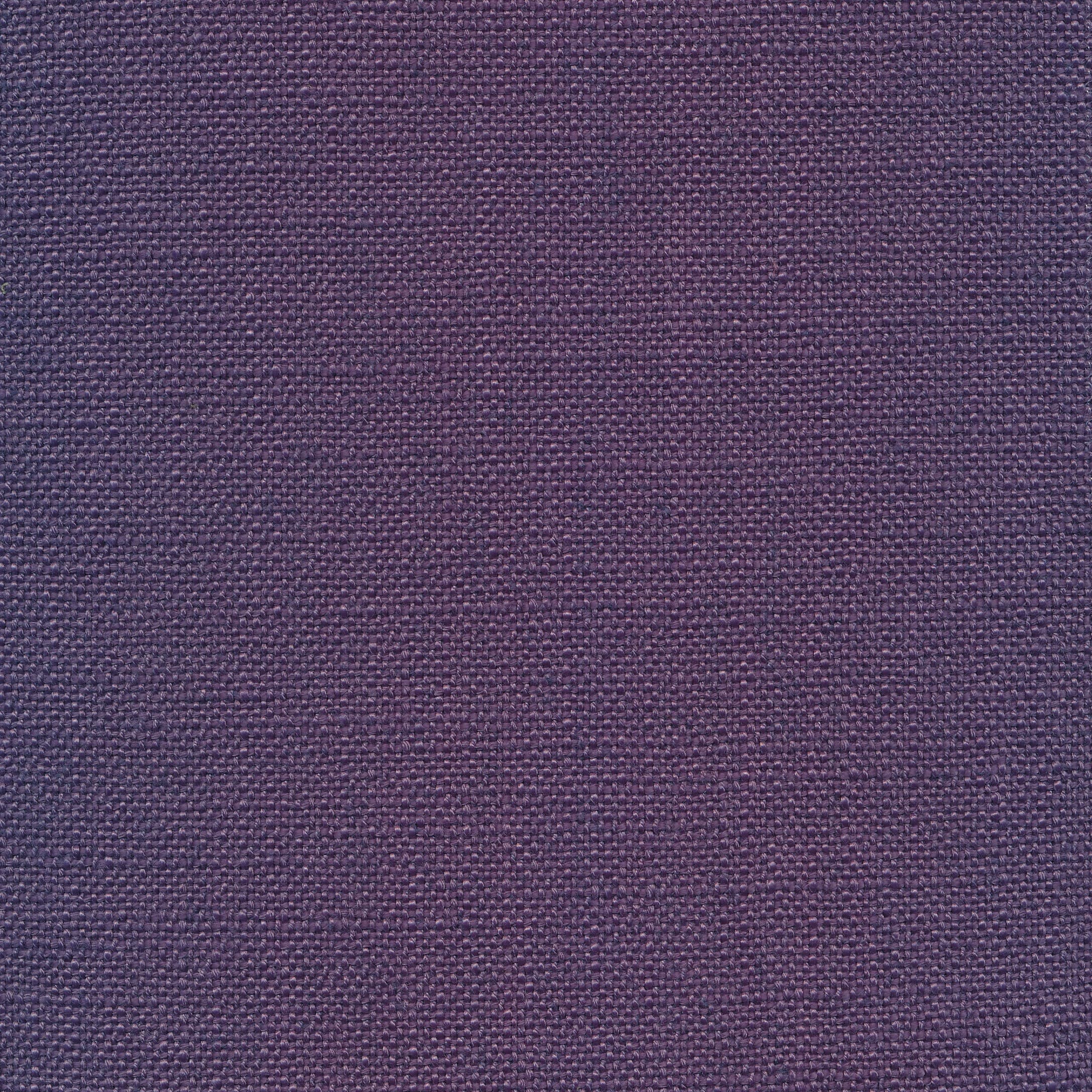 Casa 78 purple