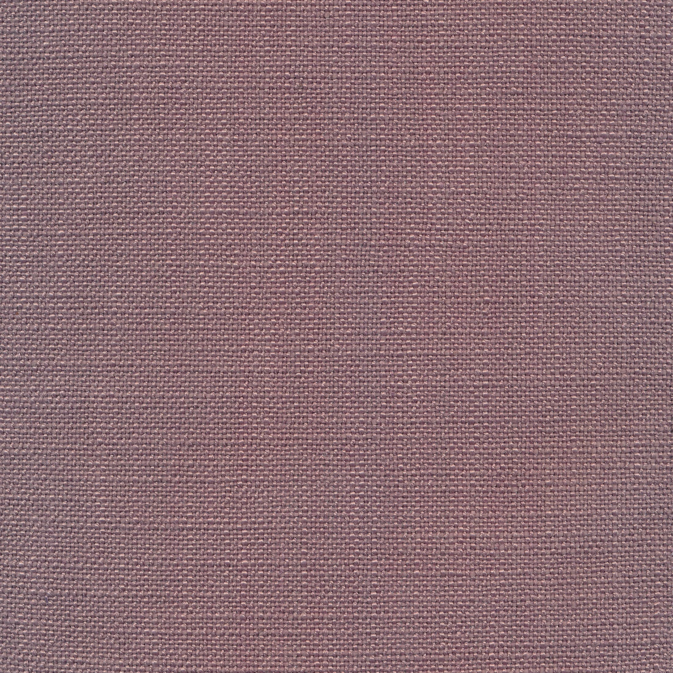 Casa 71 lavender