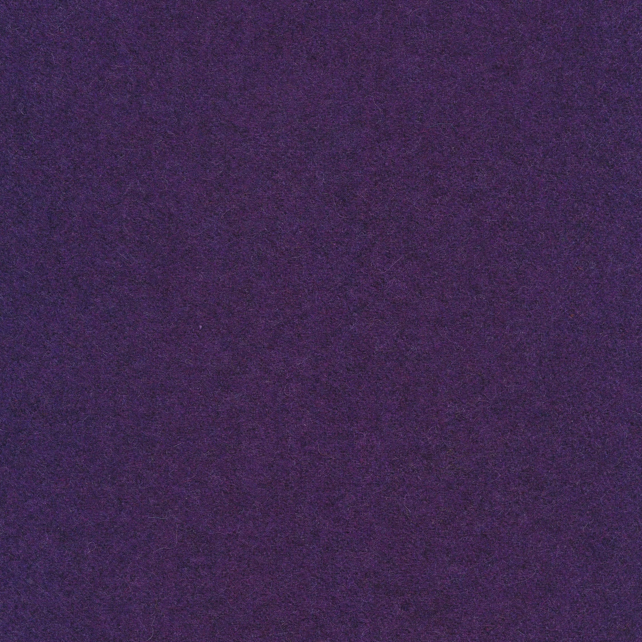 Facet violet 72