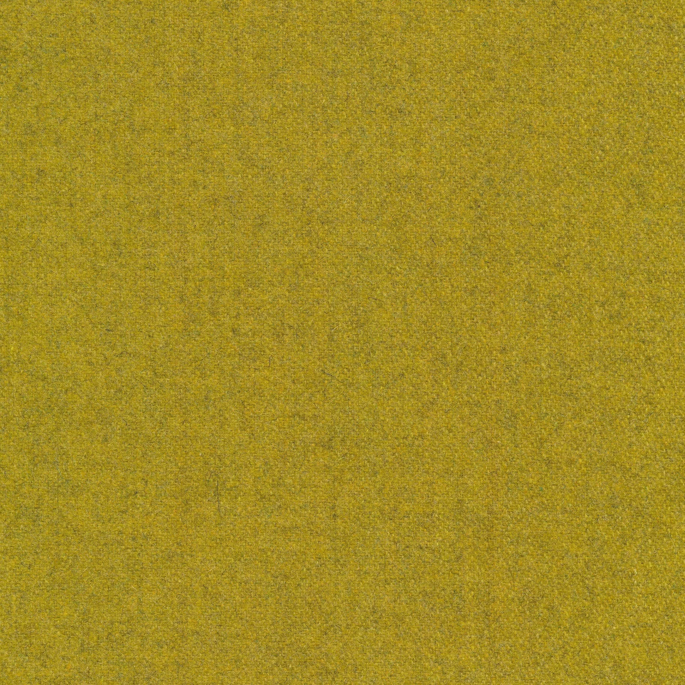 Facet yellow 24