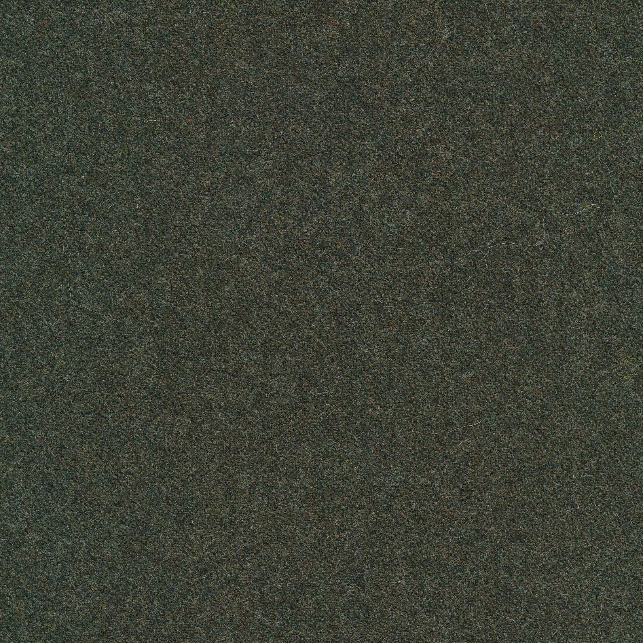 Facet olive 53