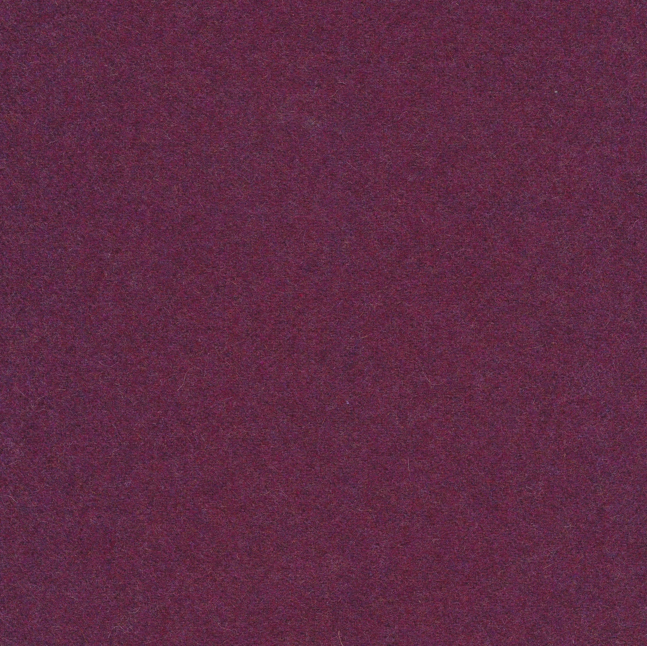 Facet aubergine 74