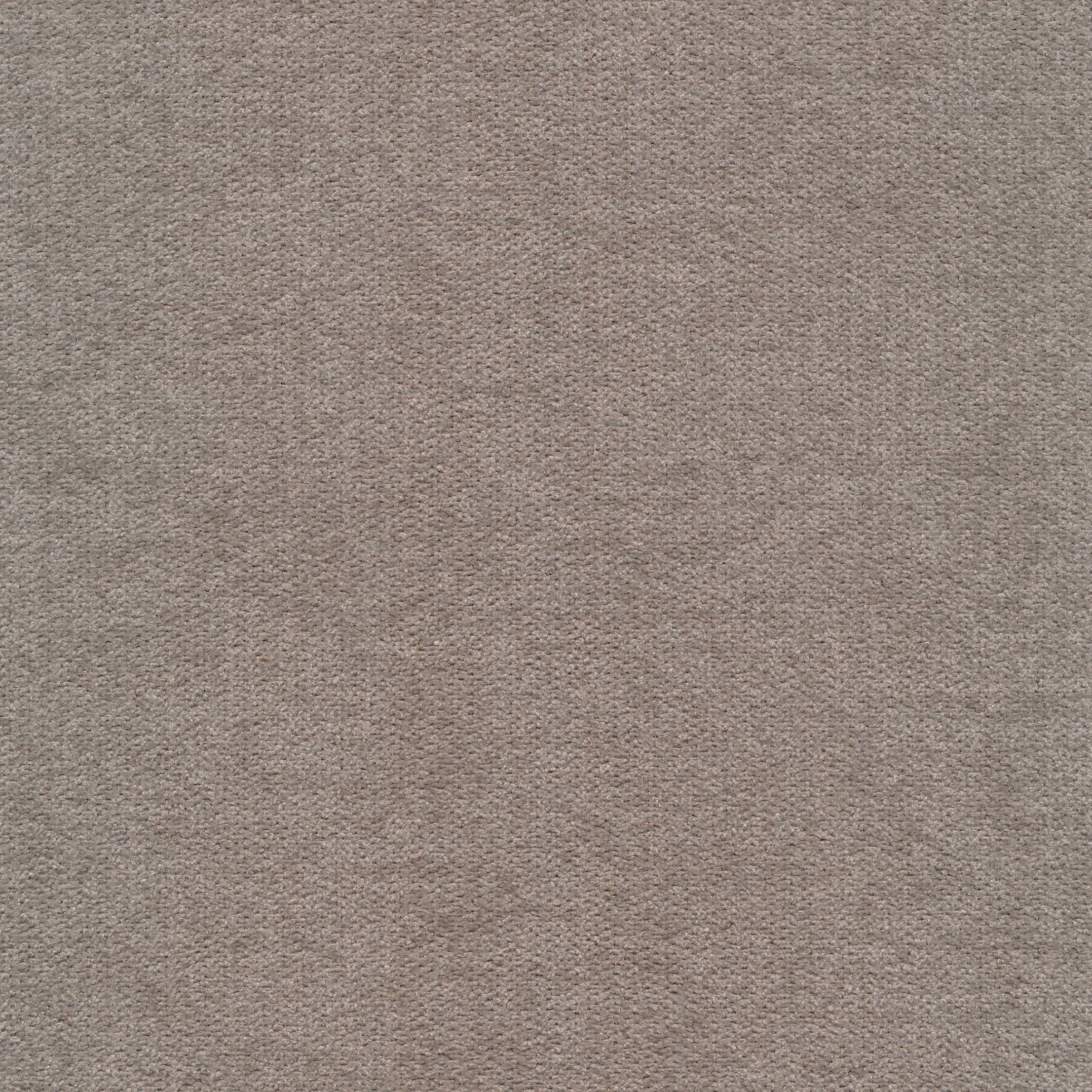 Mine 51 khaki