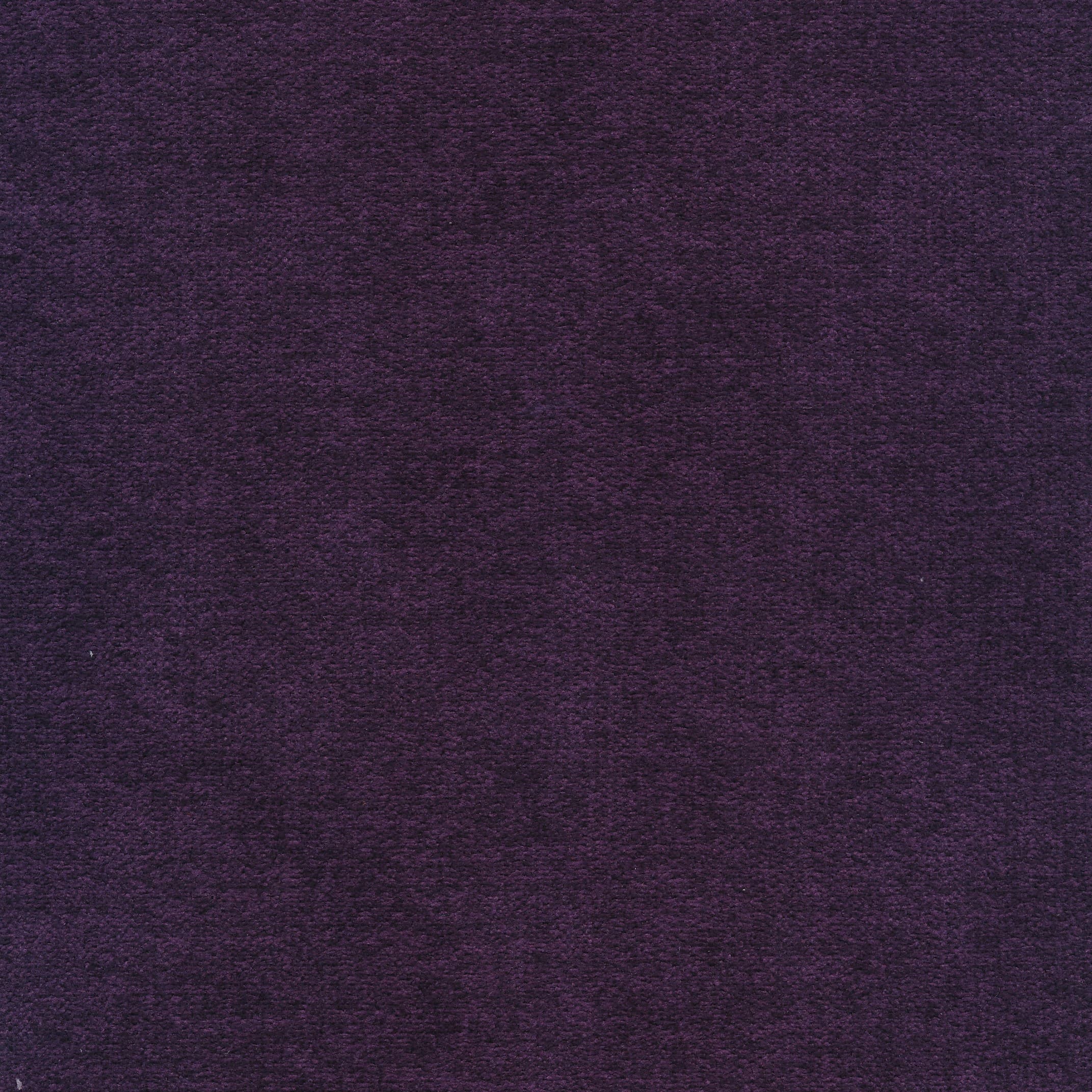 Mine 178 nightshade