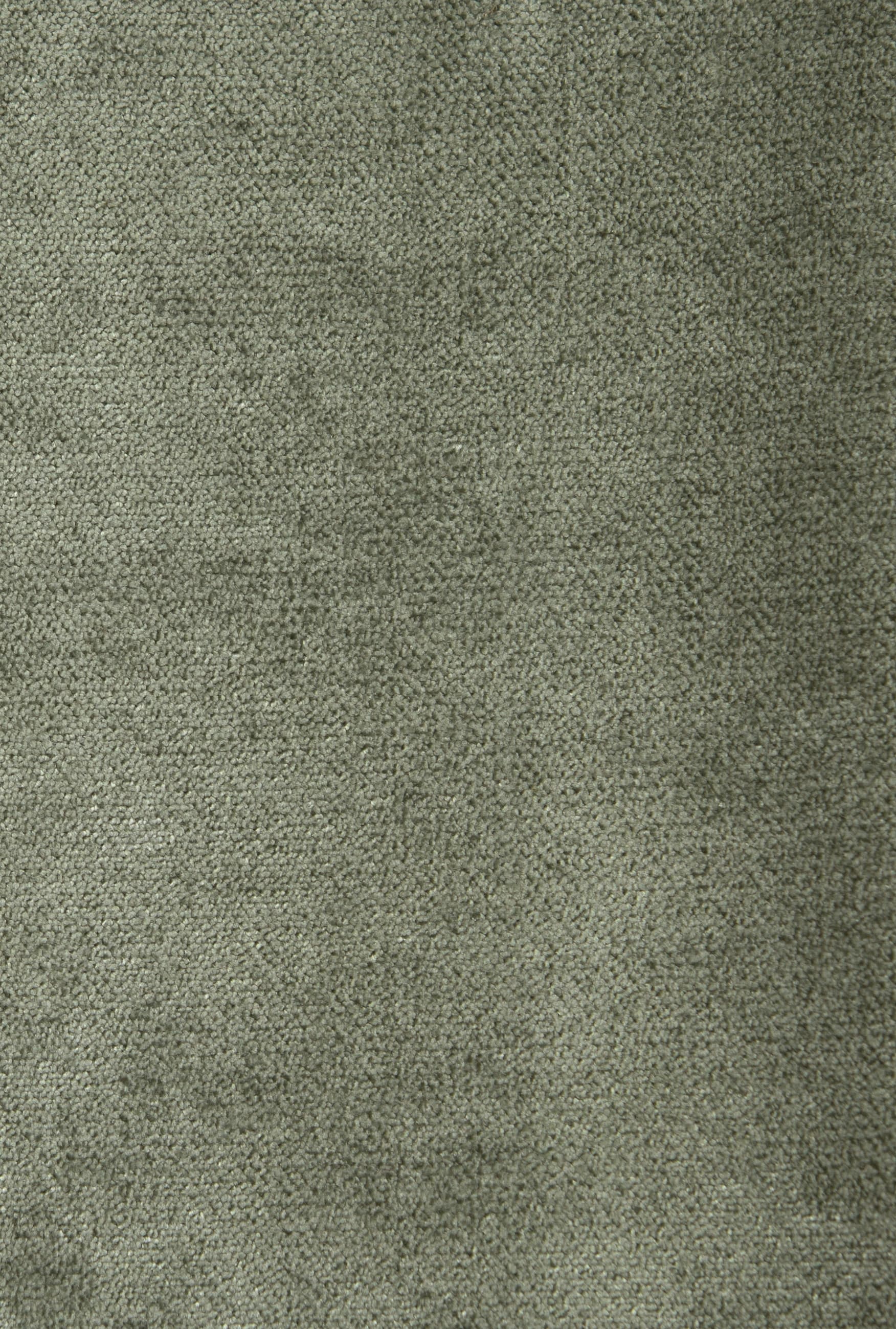TITO_EUCALYPTUS 193
