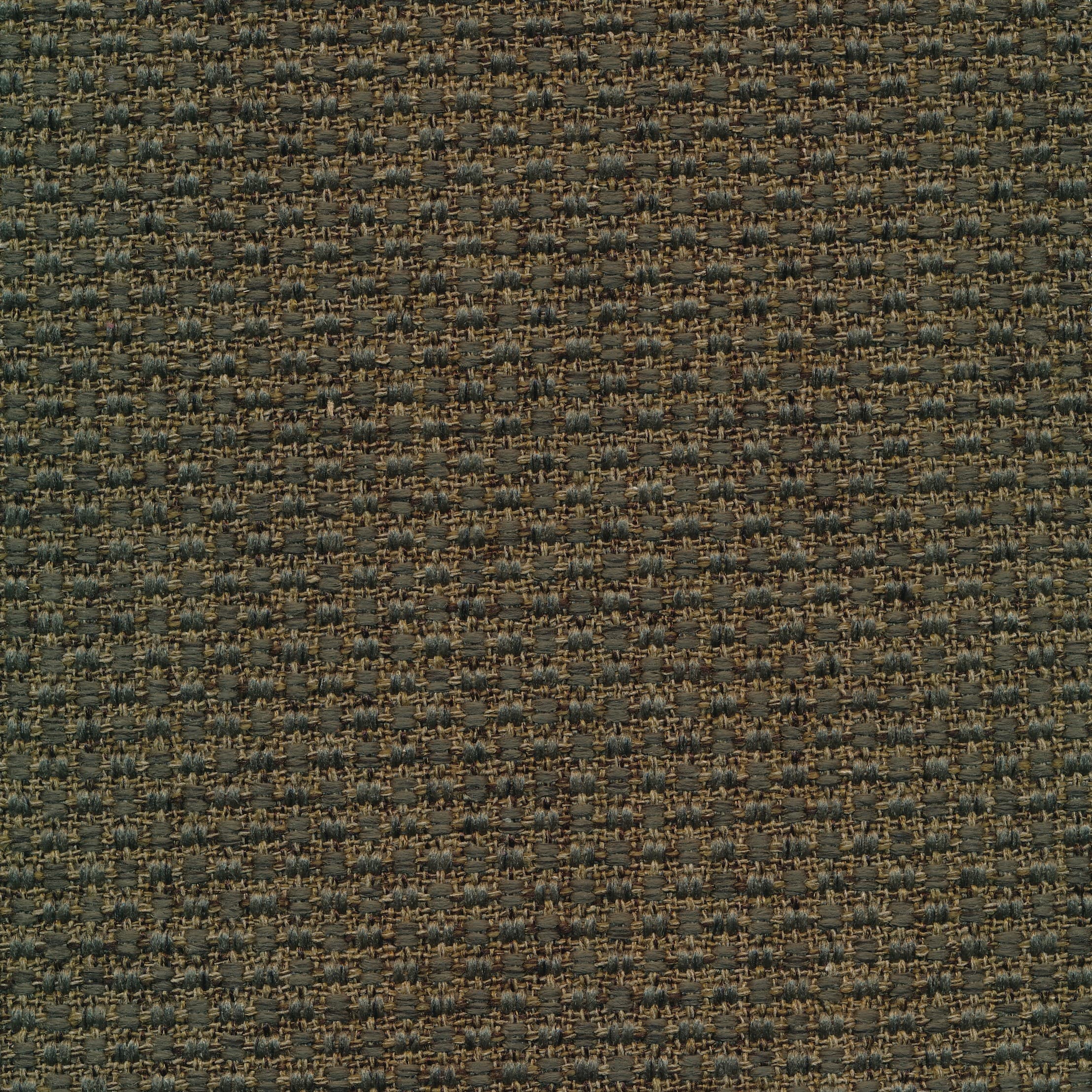 Catona 38a green