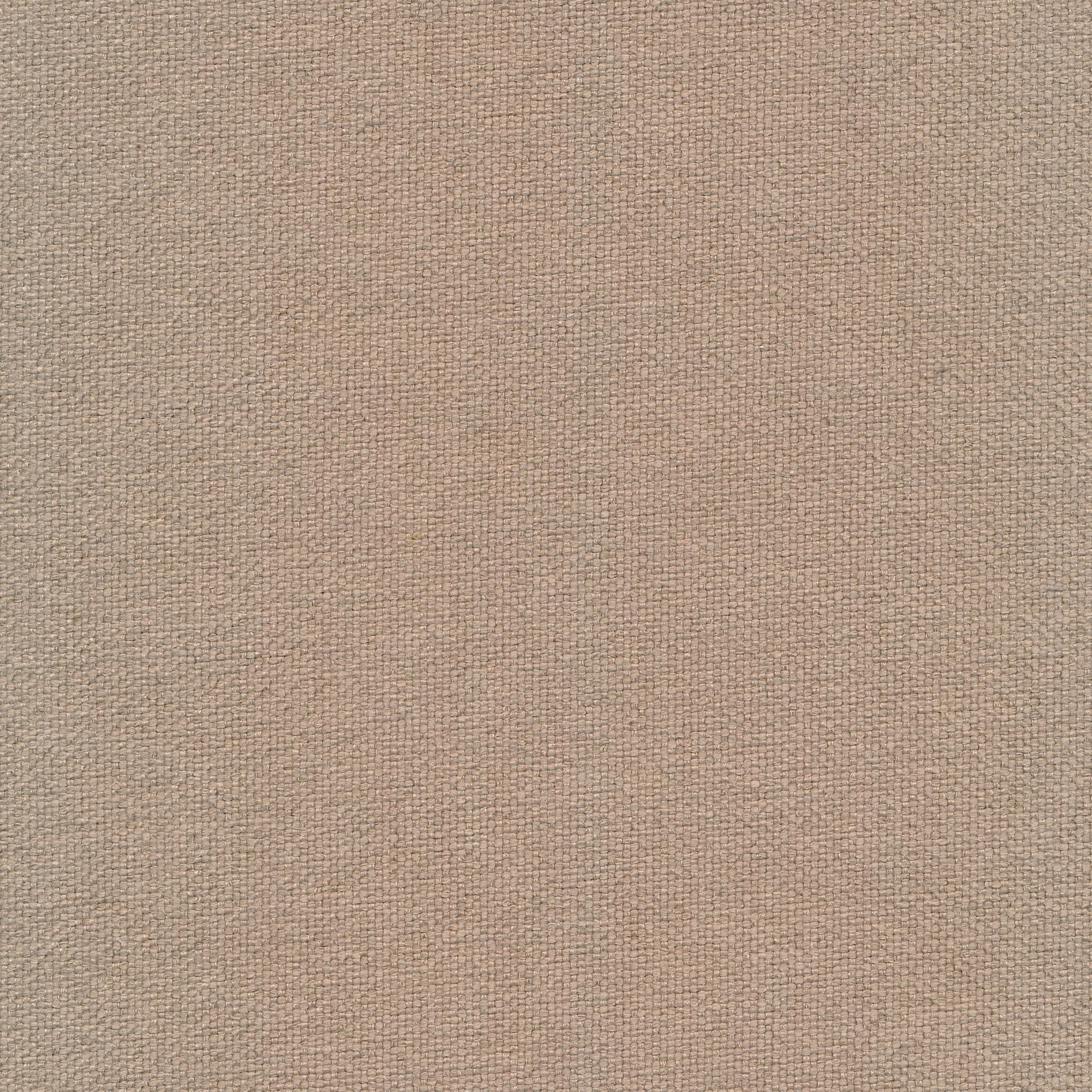 Solanto 113 sesame