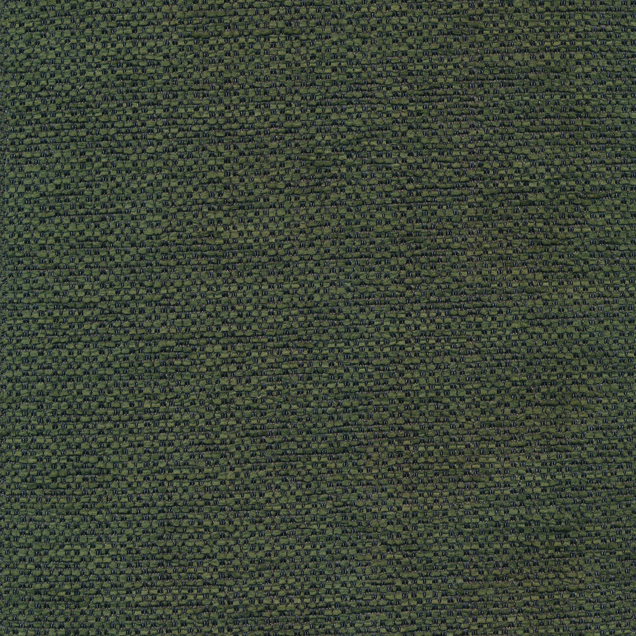 Klara 88 turtle