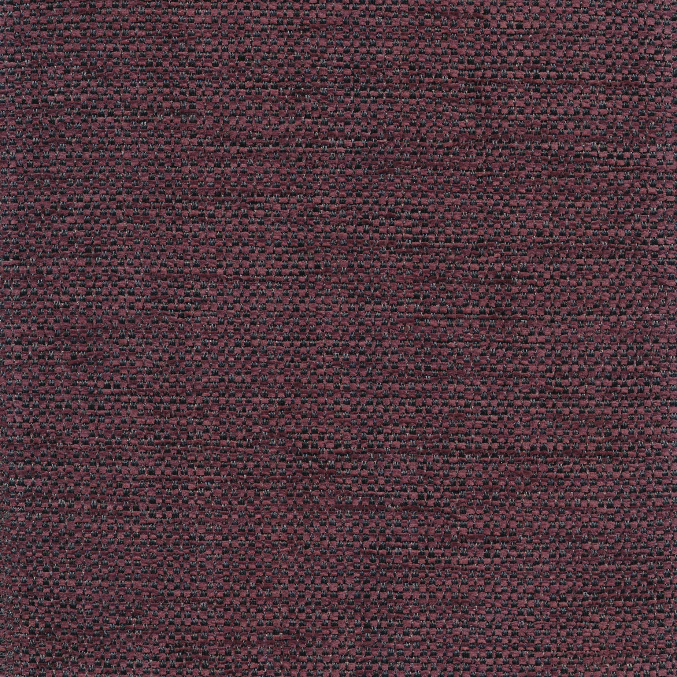 Klara 177 black berry