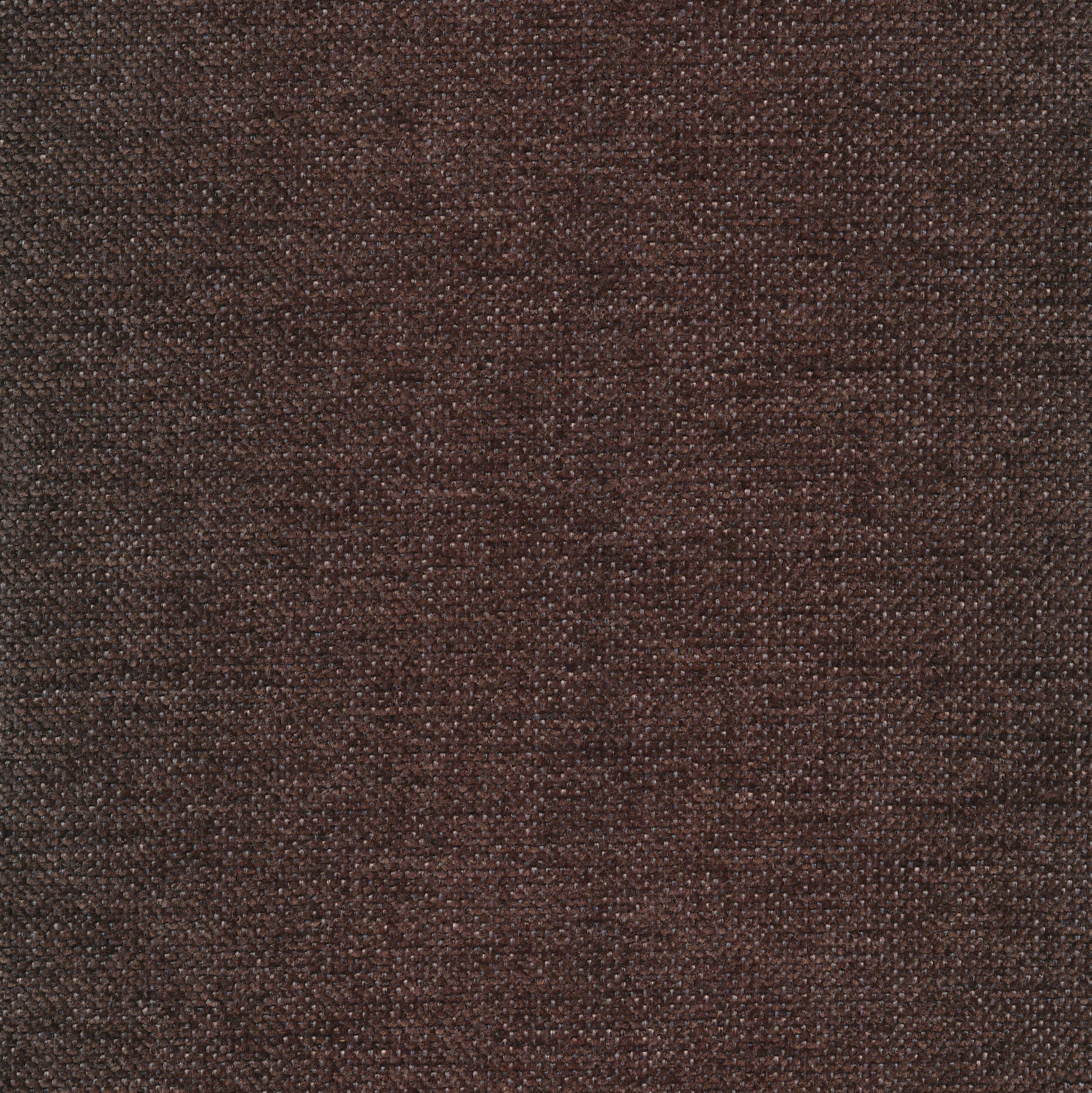 Carmen 18 dark brown