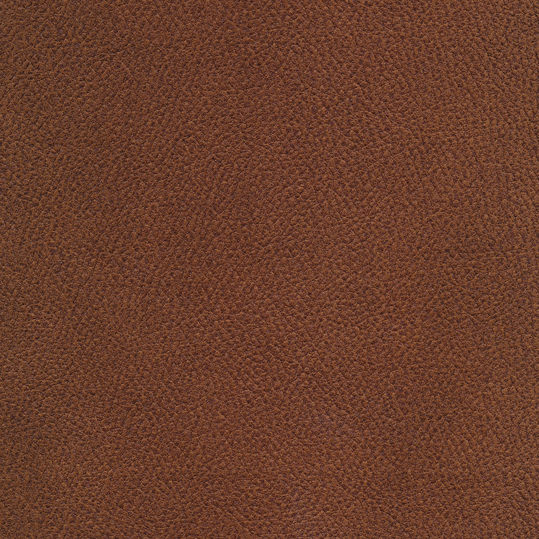 Deluxe 08 brown