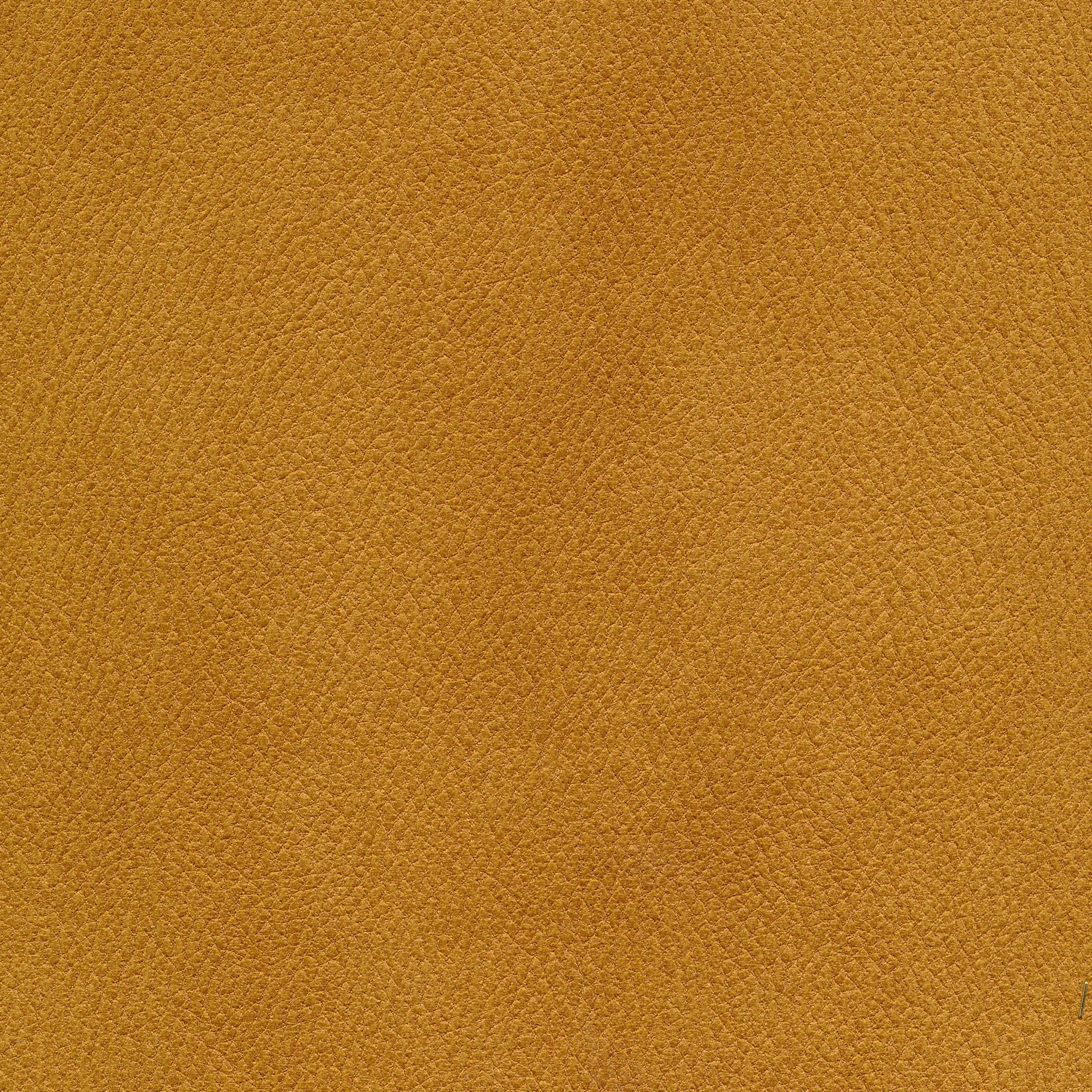 Deluxe 520 mustard