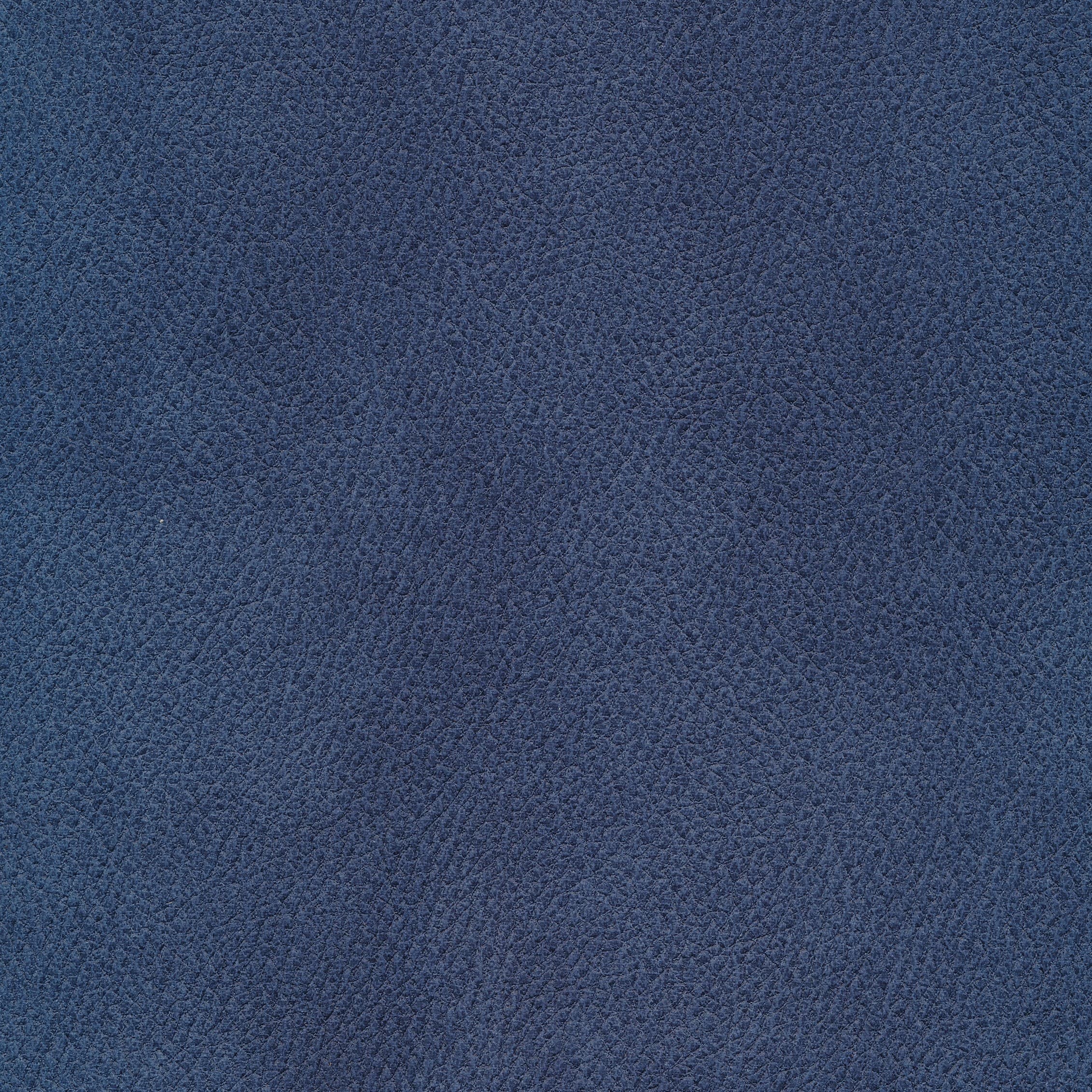 Deluxe 10 navy