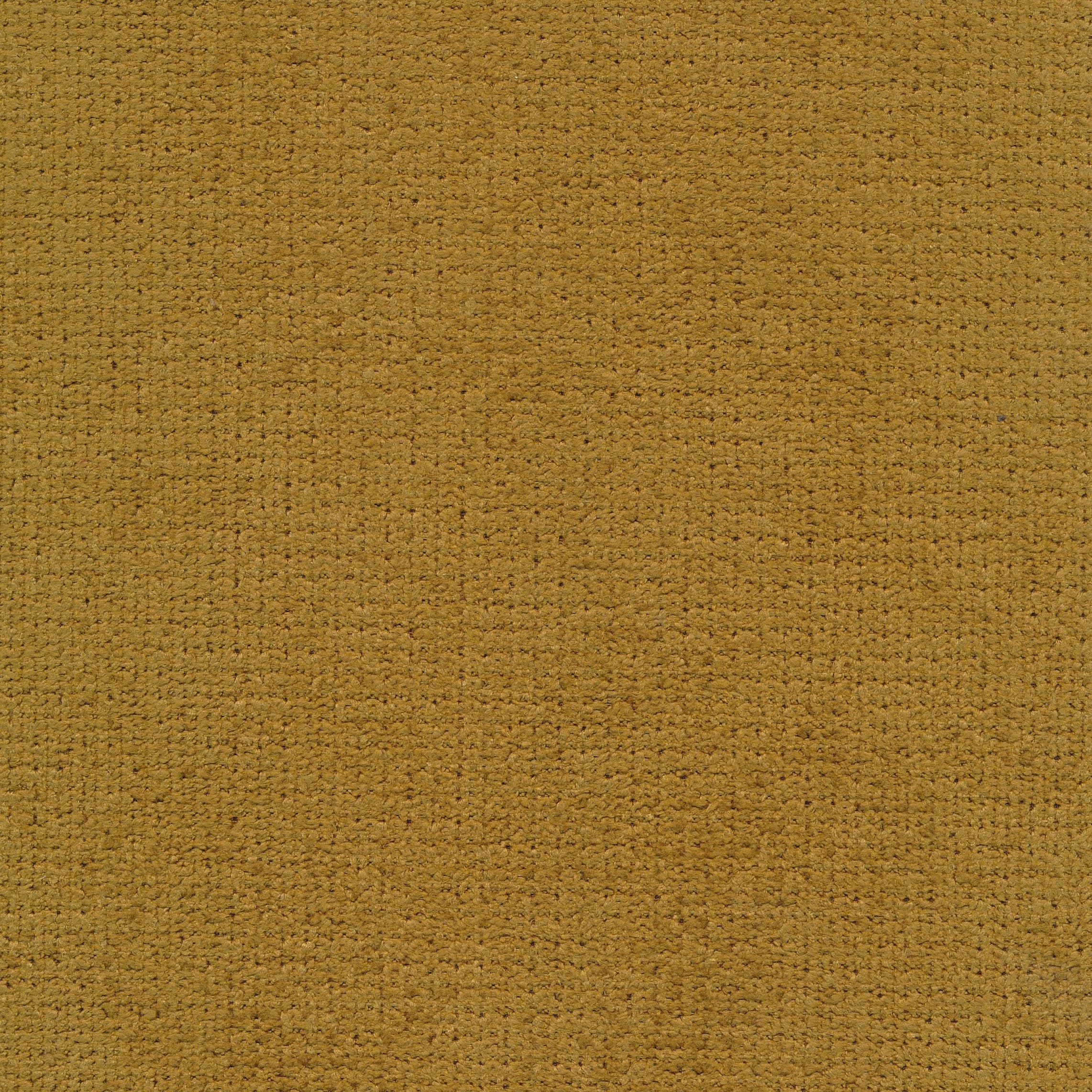 Regain 23 ocre