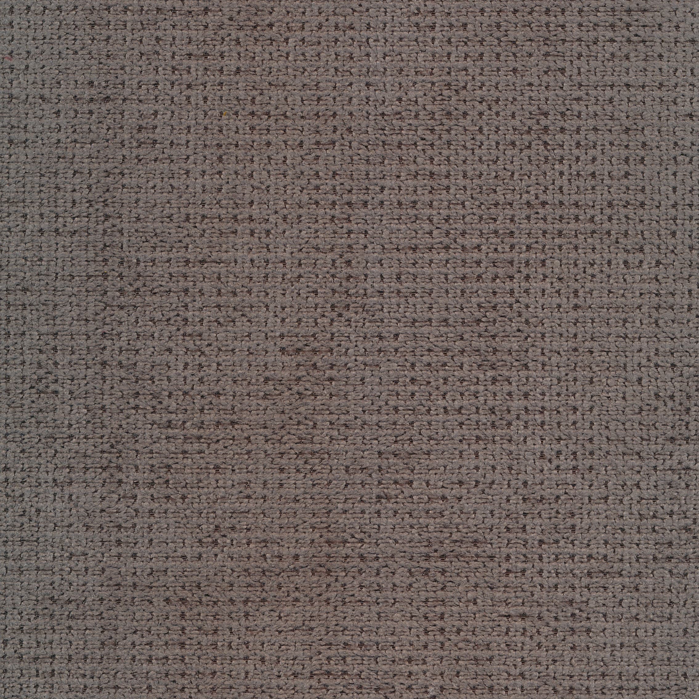 Regain 12 taupe