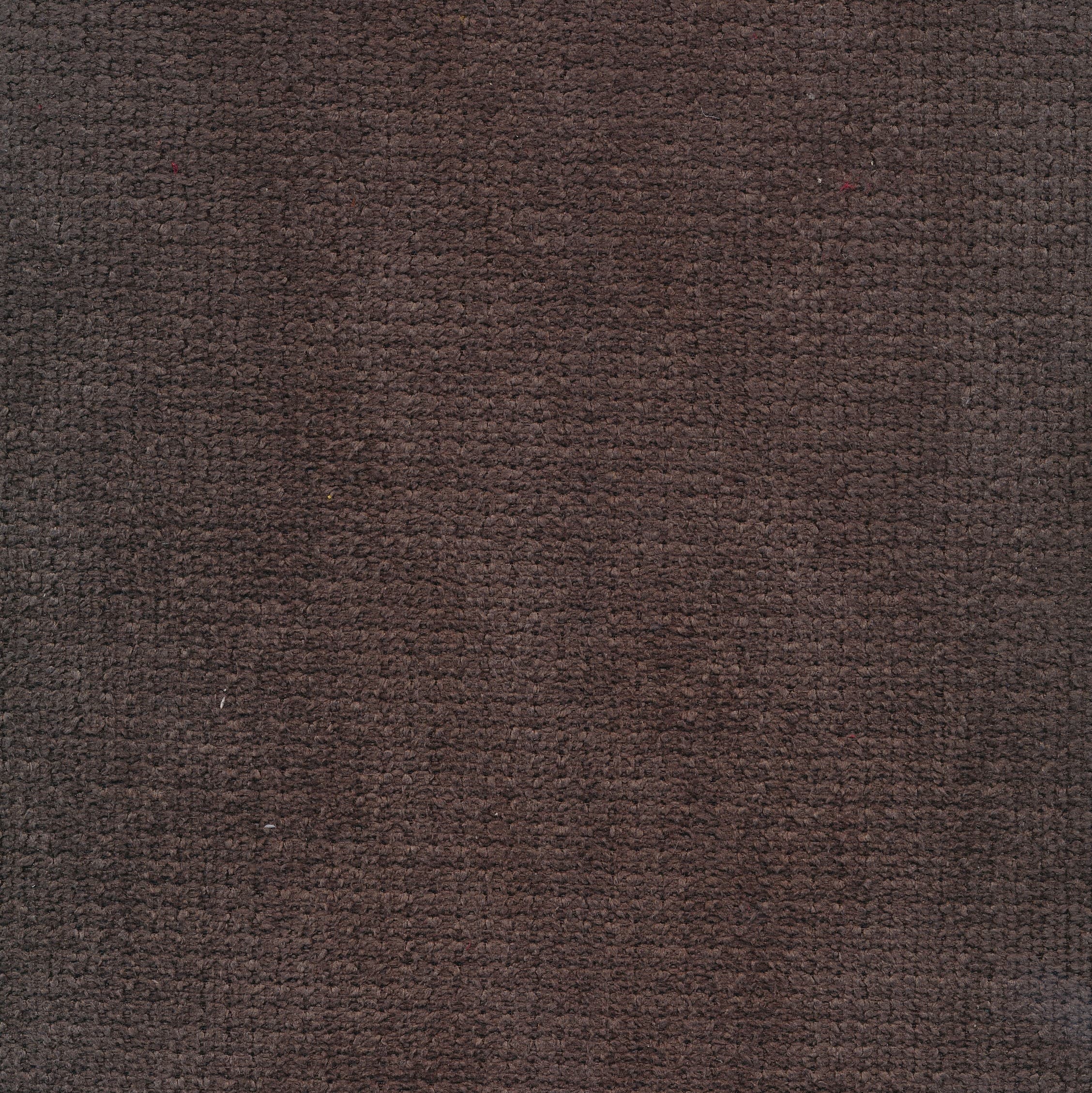 Regain 18 darkbrown