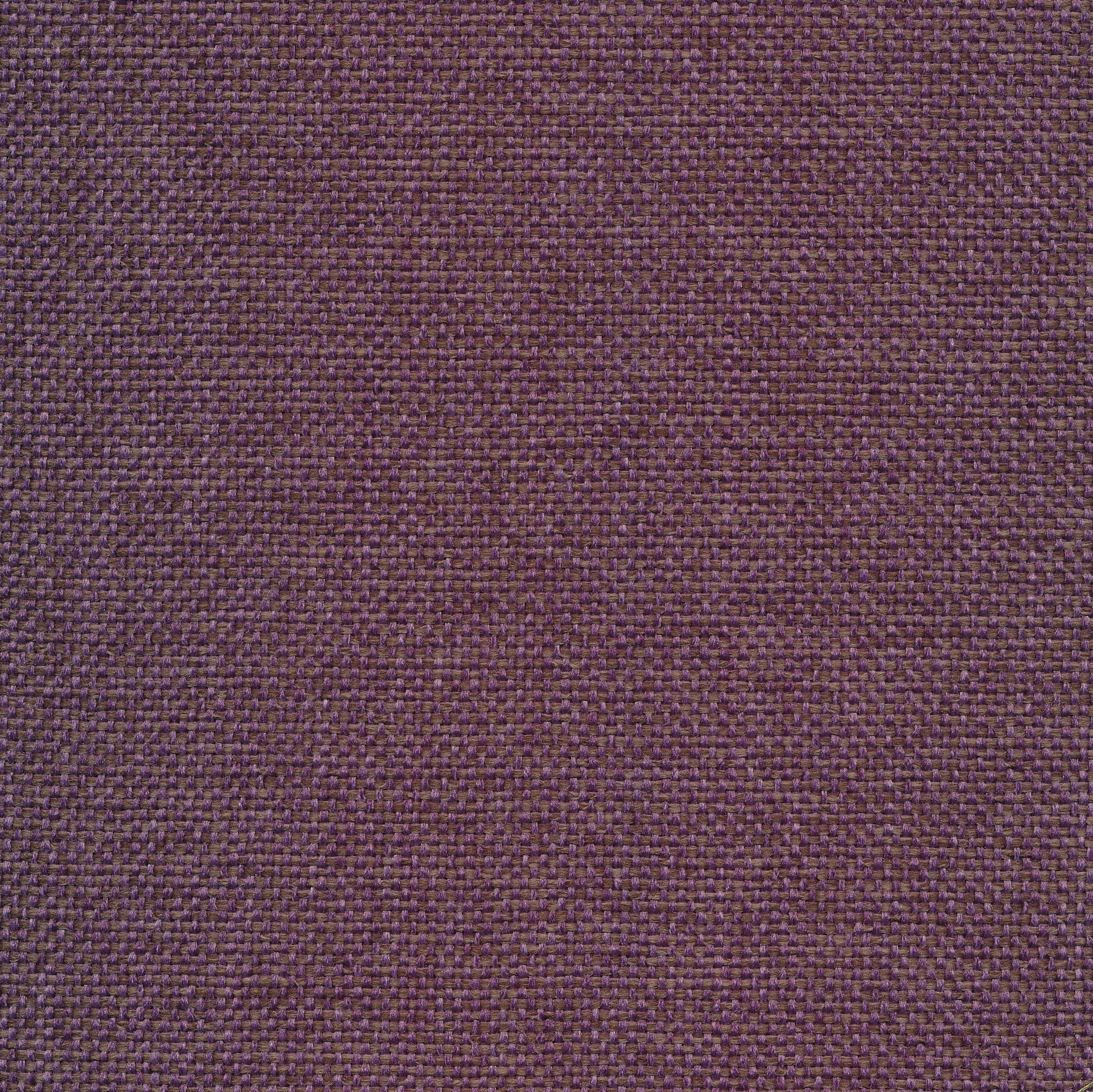 Brando 78 purple