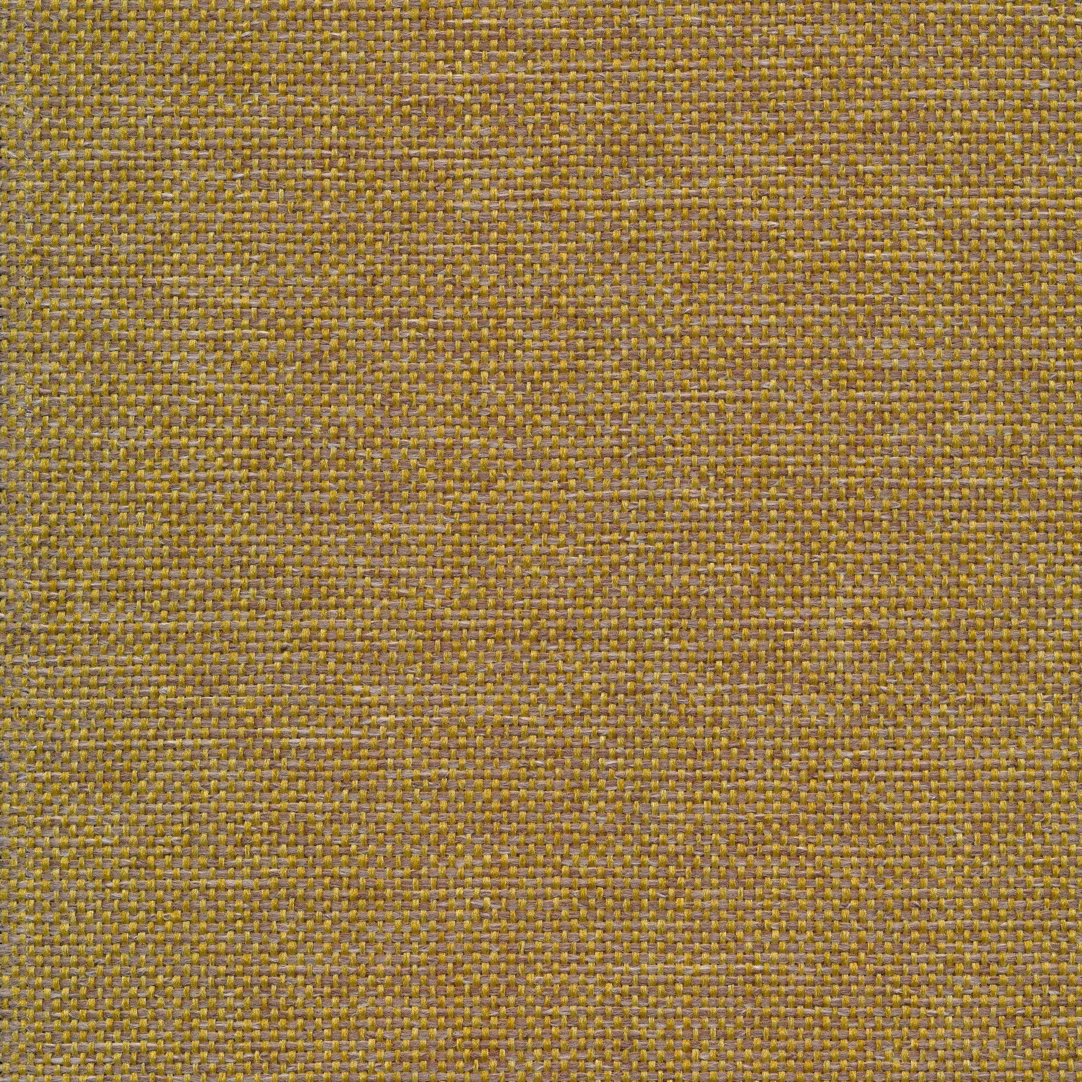 Brando 53 olive
