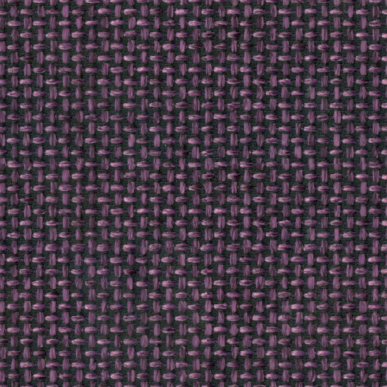 Cricket 78 purple