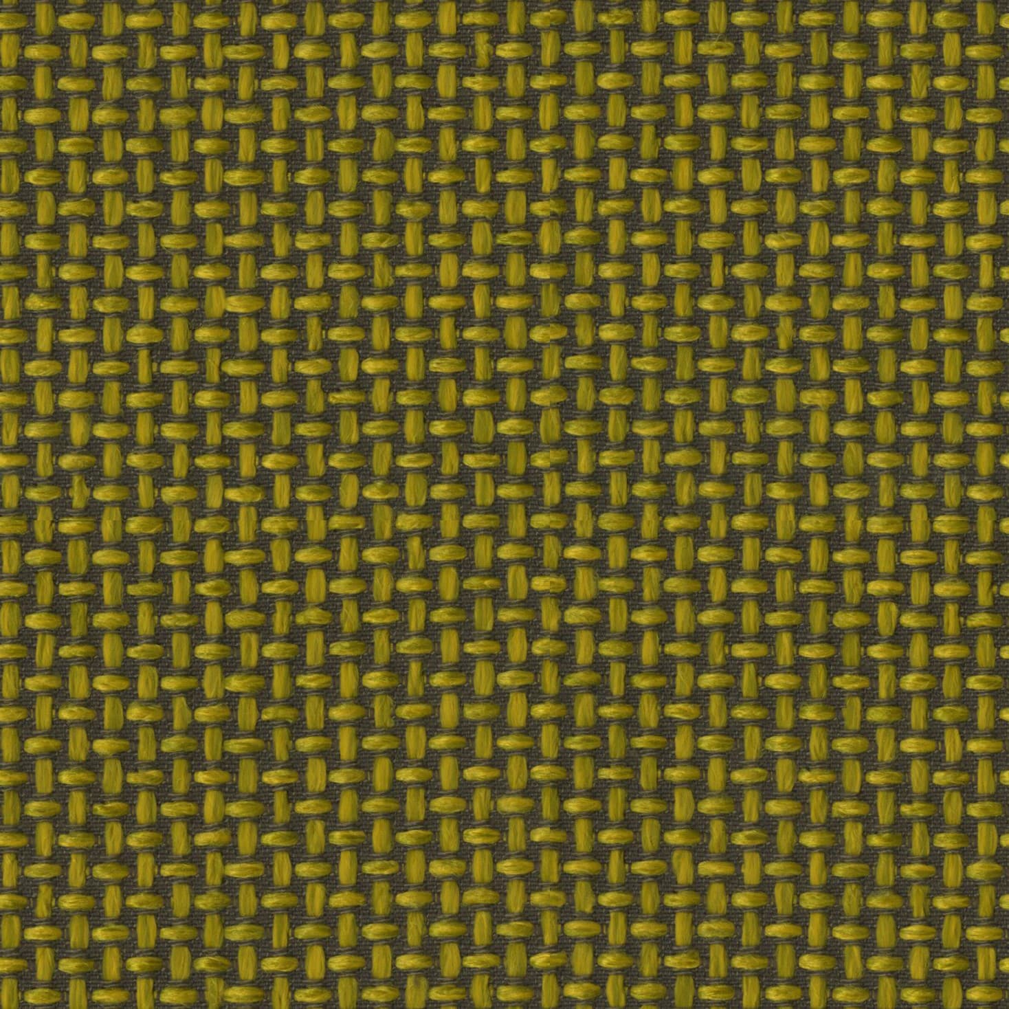 Cricket 122 lemon