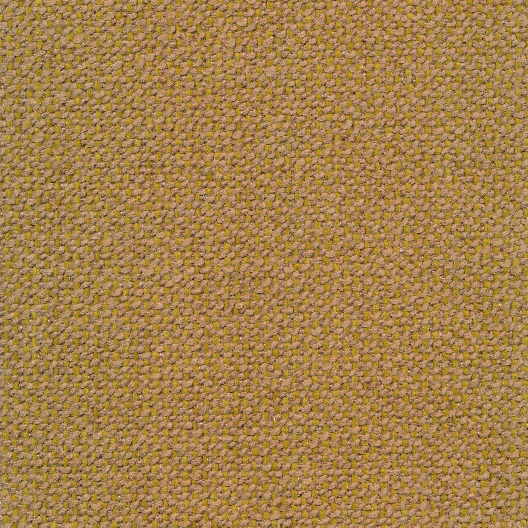 Brema 06 mustard