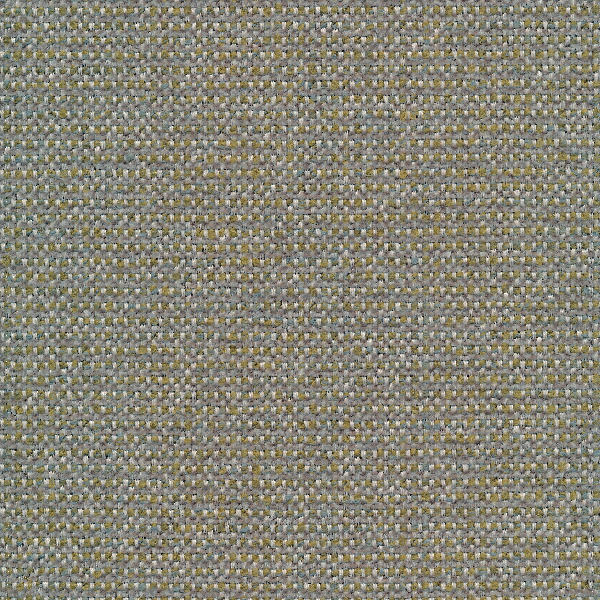 Fermo 53 olive