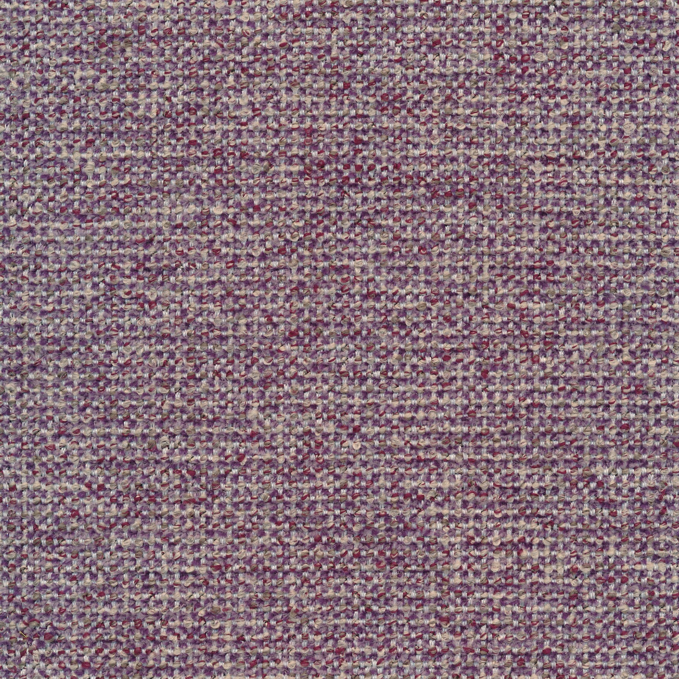 Fermo 72 violet
