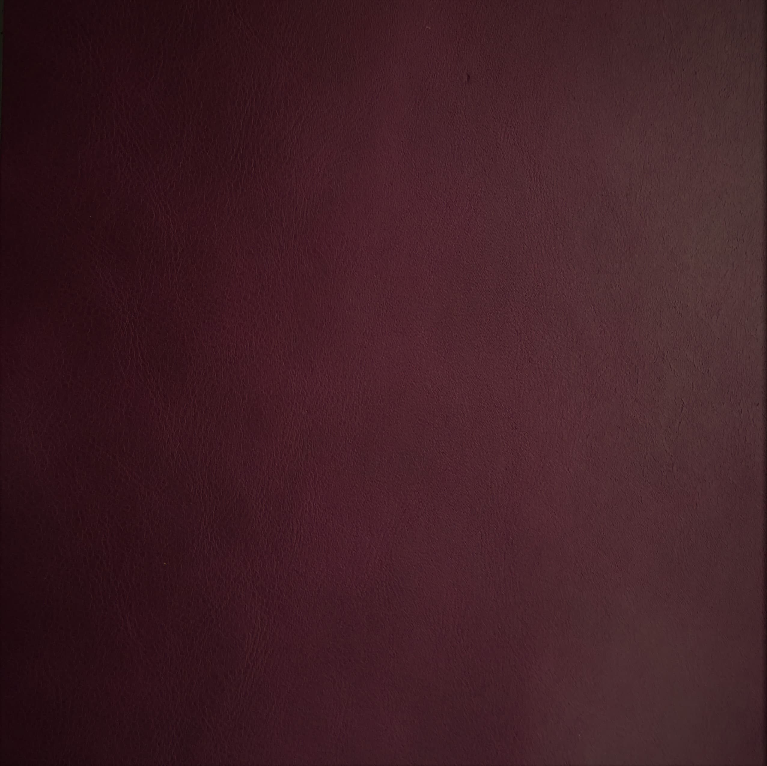 Silk 04060 fuchsia