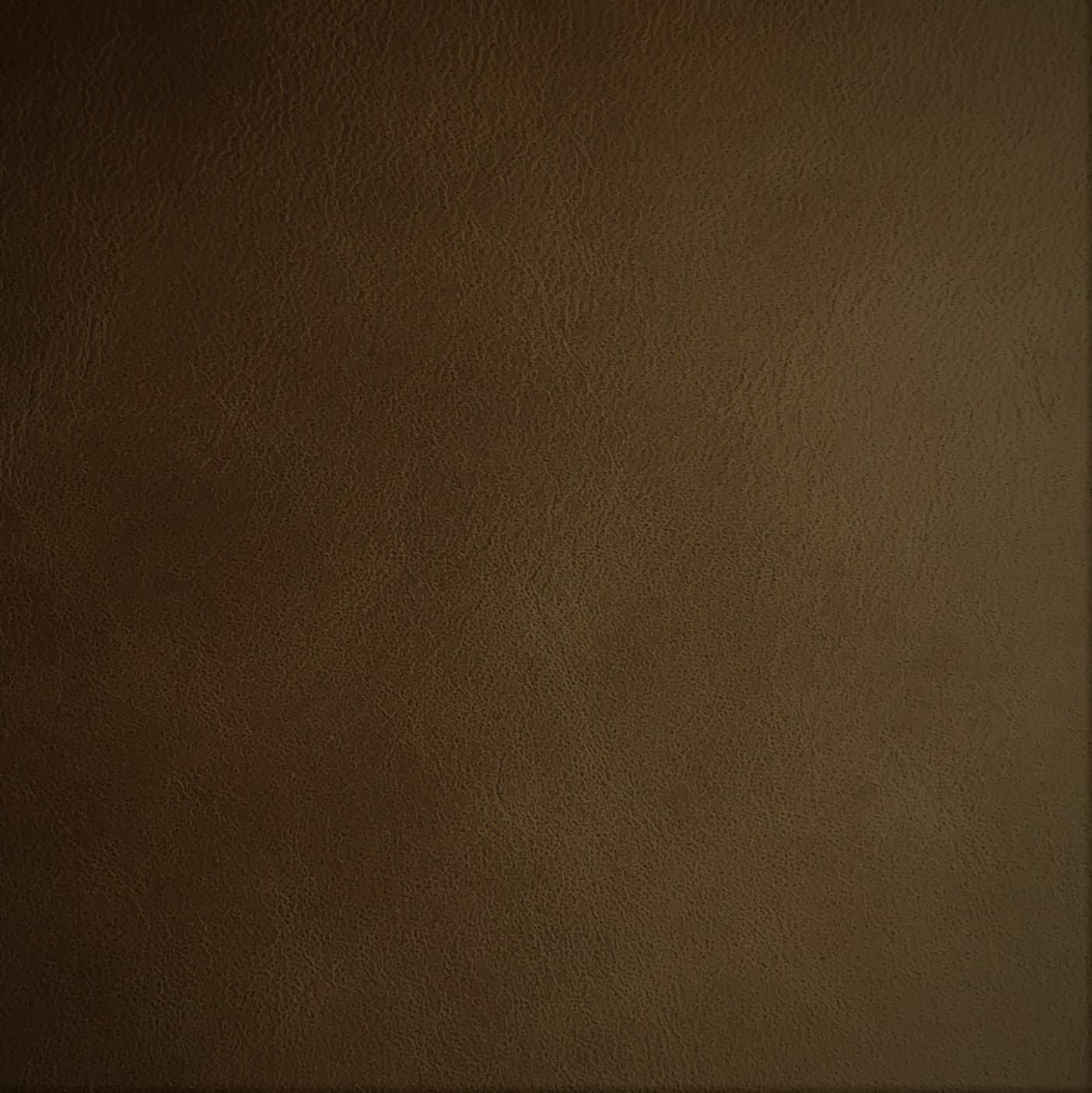 Silk 0258 zand