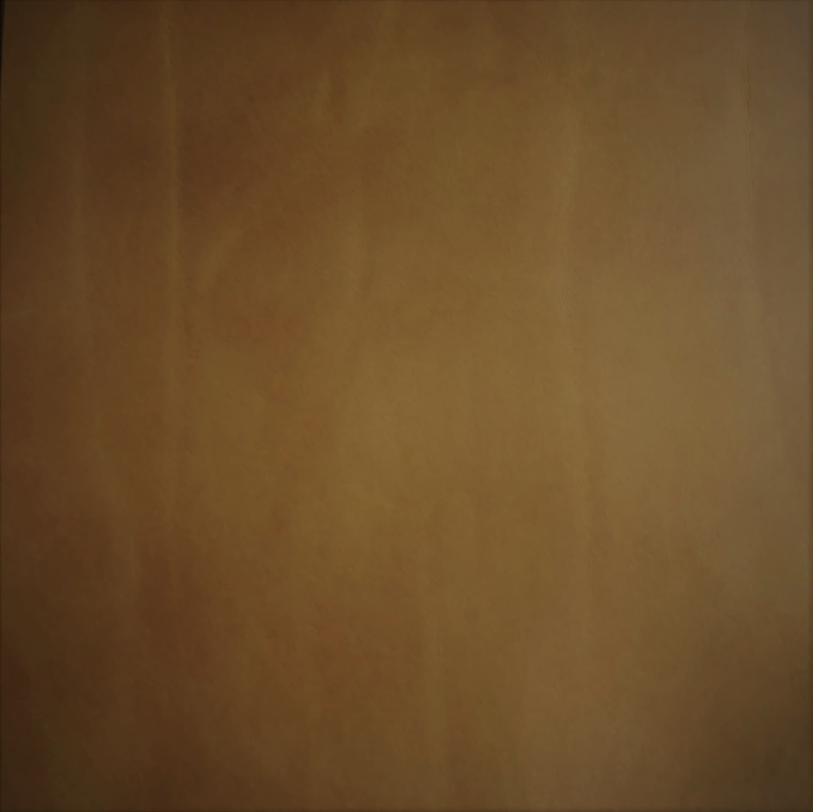 Silk 0549 cognac