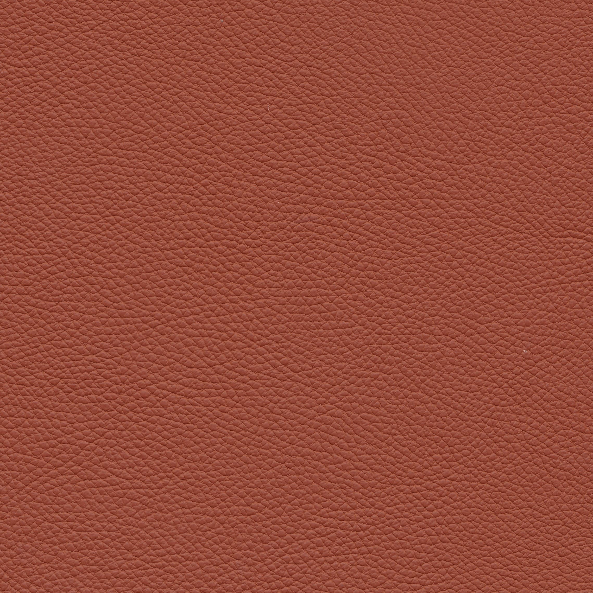 Leder W2 120 cotto