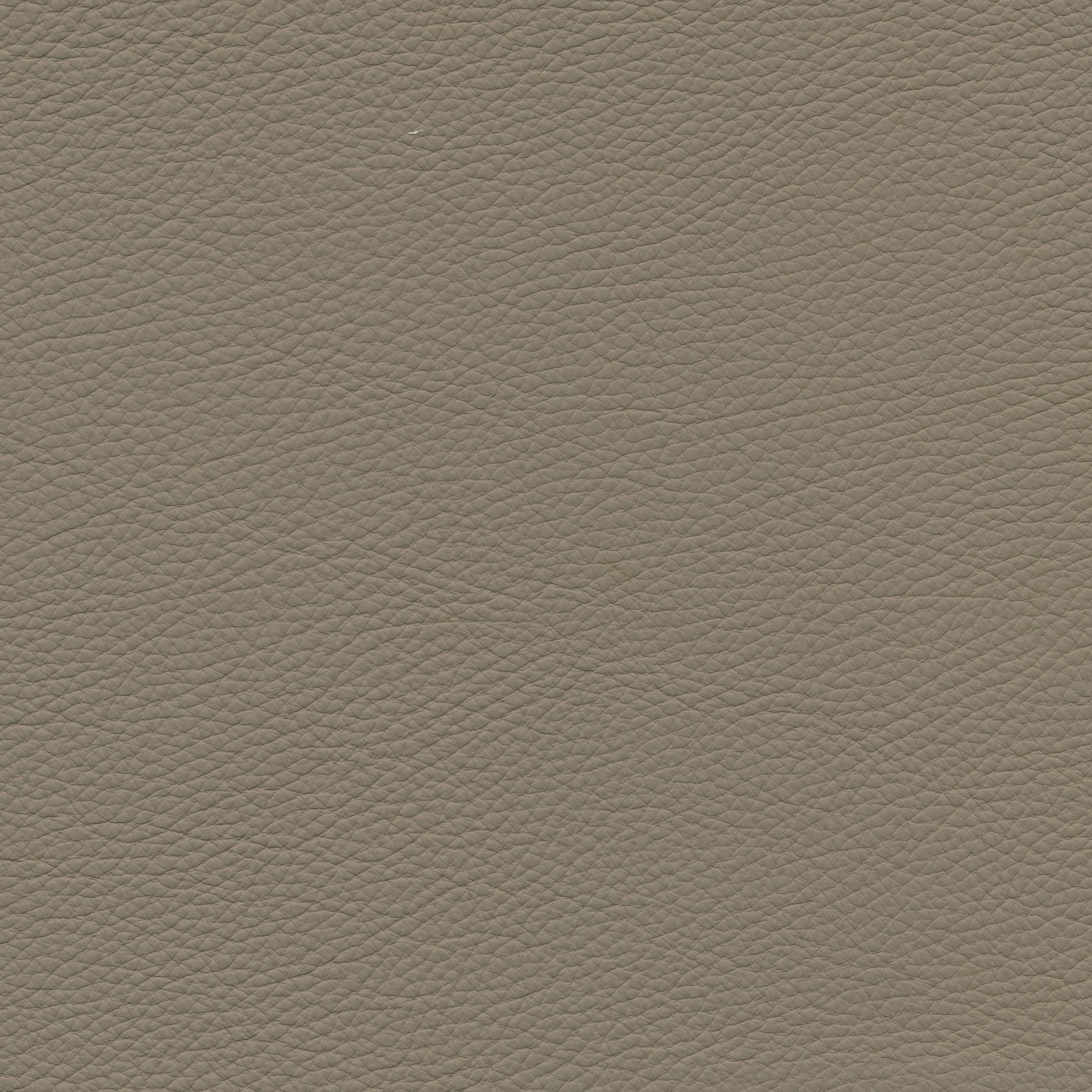 Leder W2 005 mocca