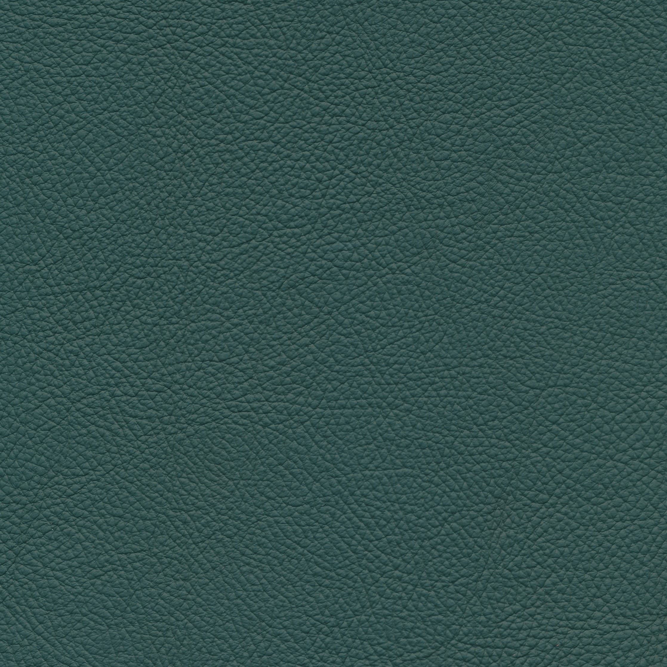 Leder W2 995 forest