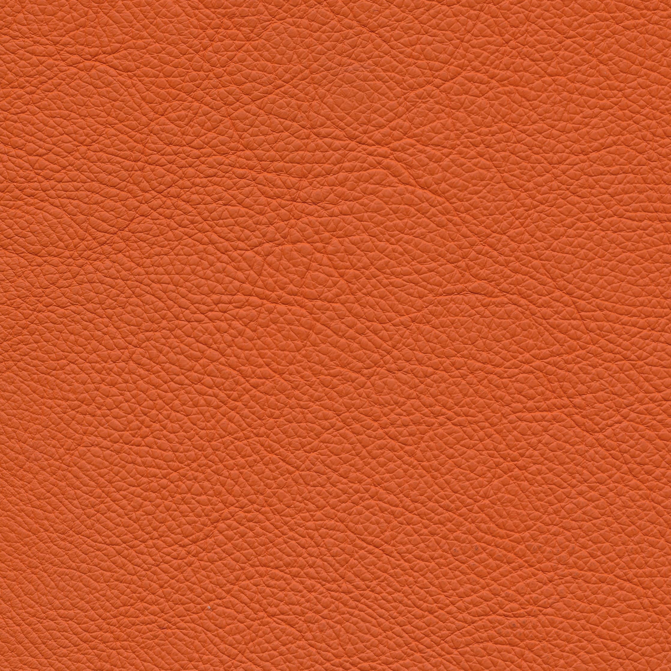 Leder W2 81 orange