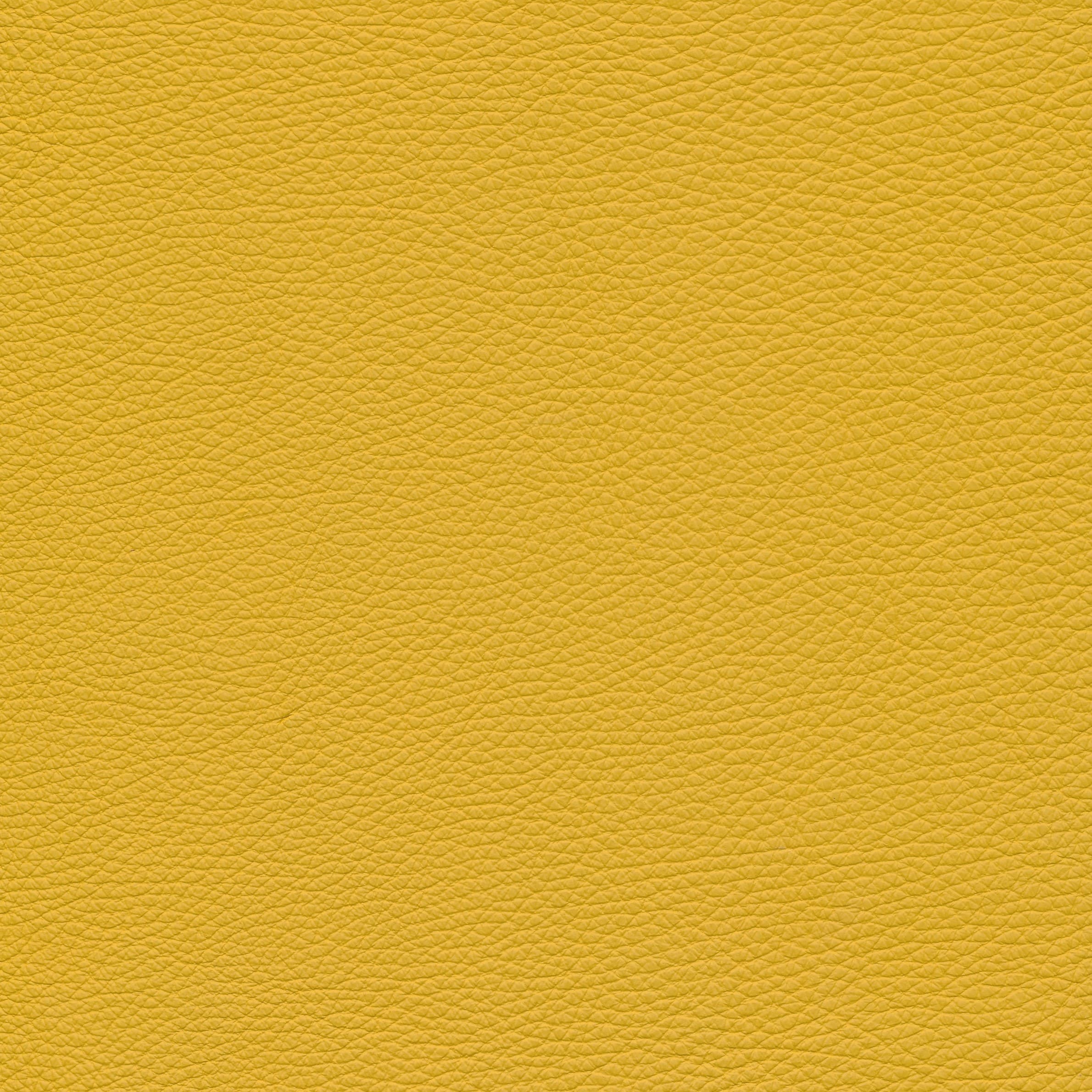 Leder W2 01 giallo
