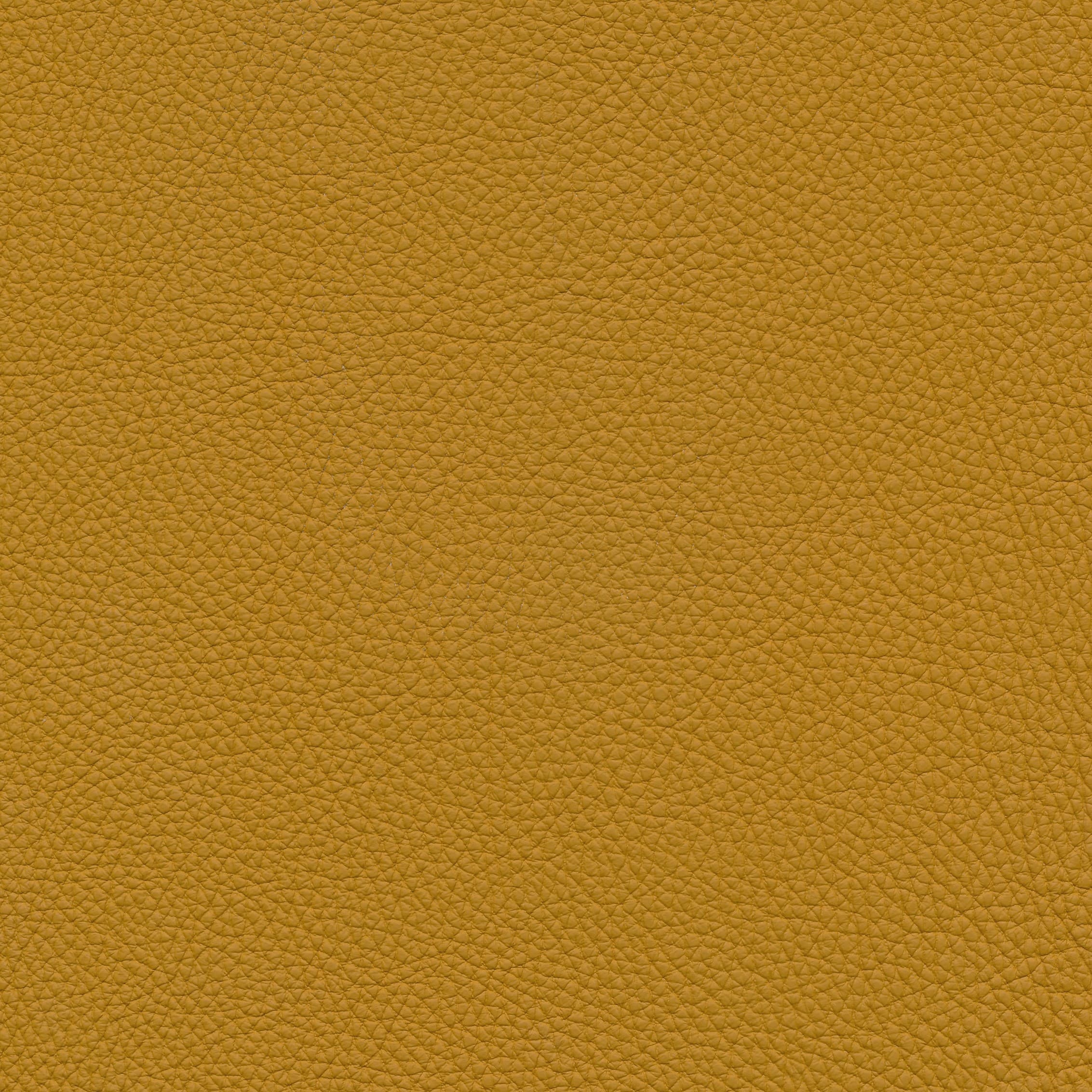 Leder W2 97 leem