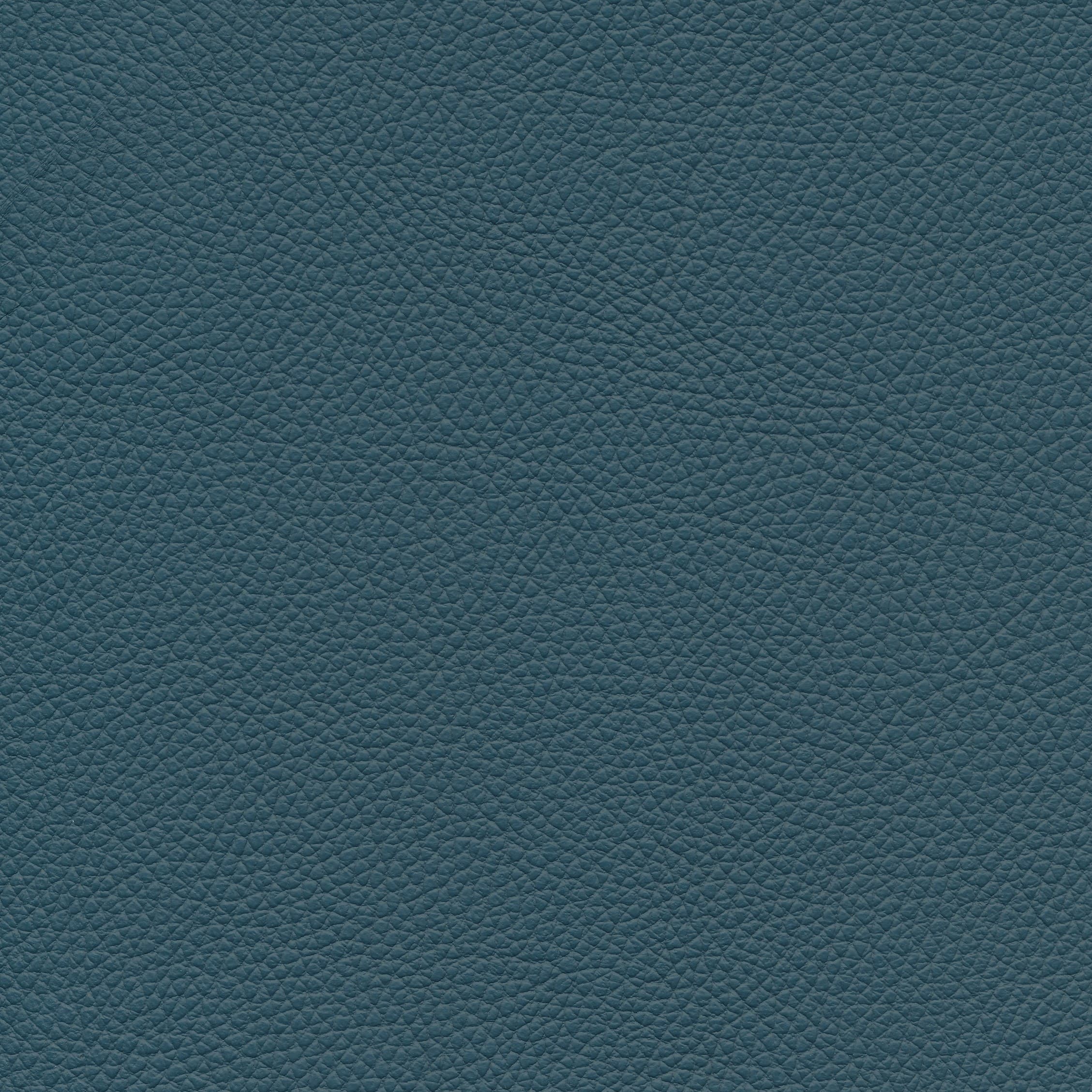 Leder W2 902 whale