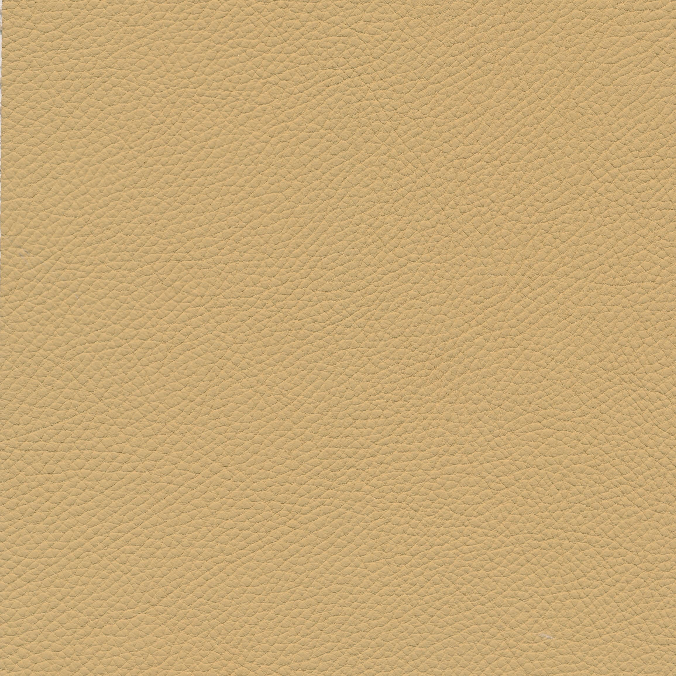Leder W2 68 desert