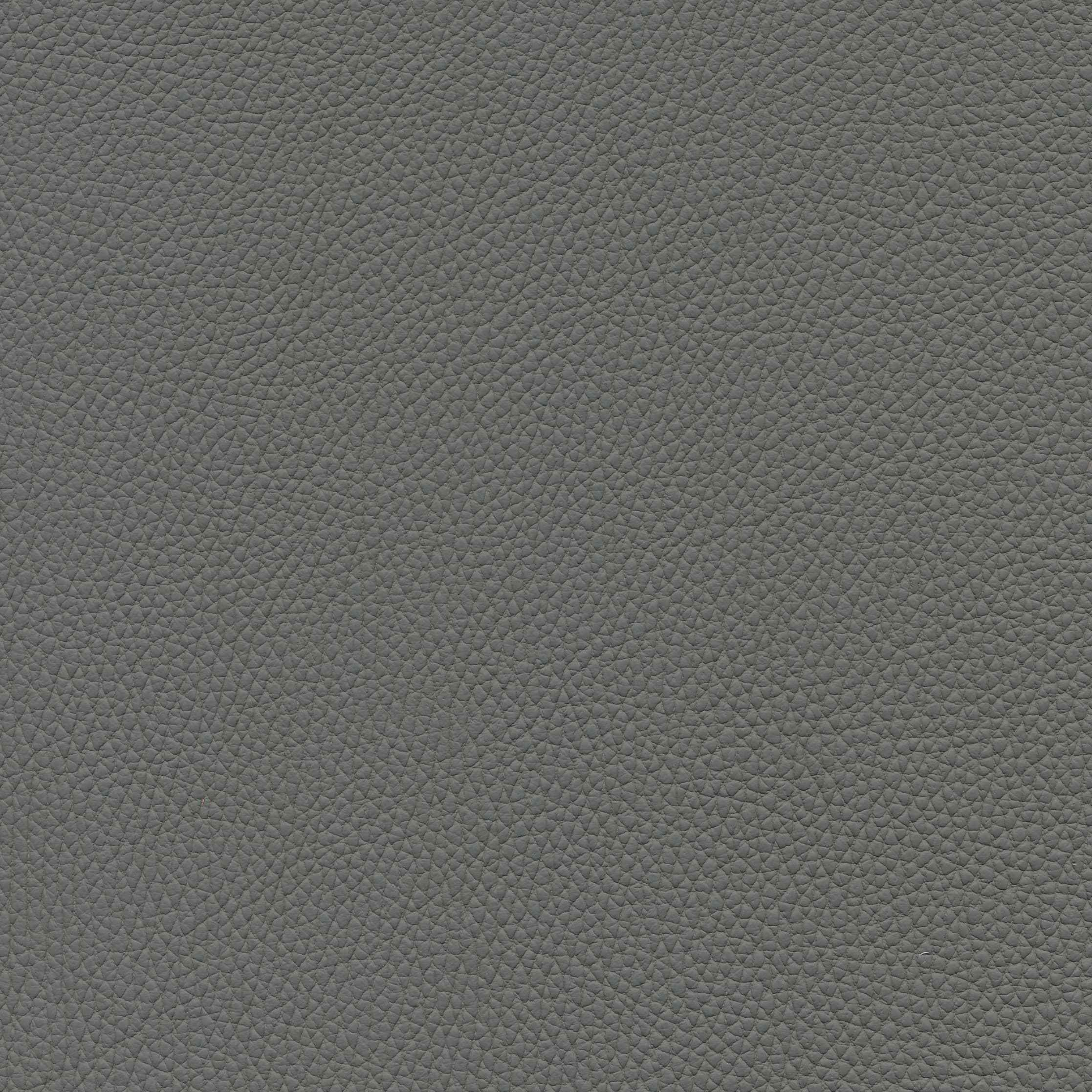 Leder W2 17 smog