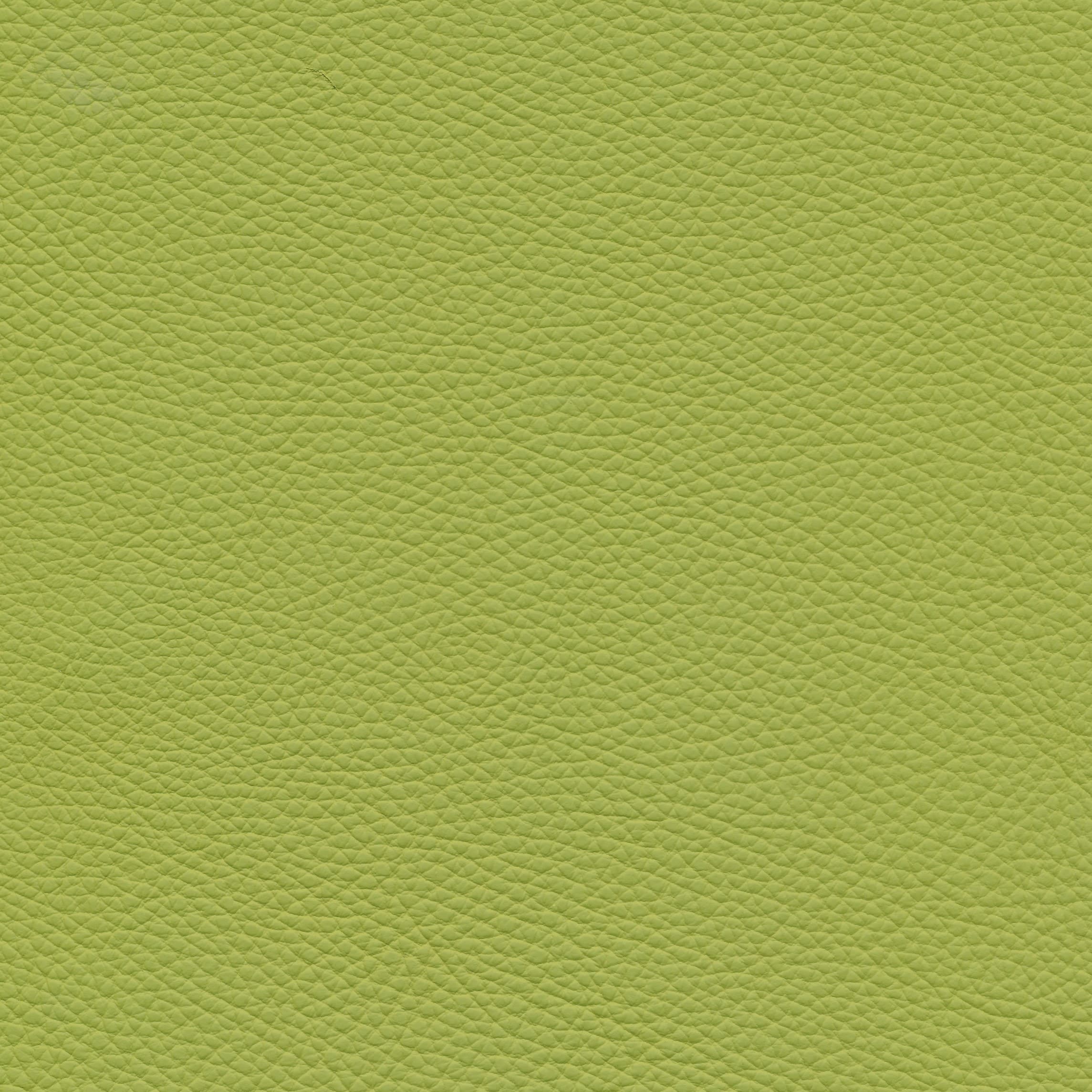 Leder W2 998 lime