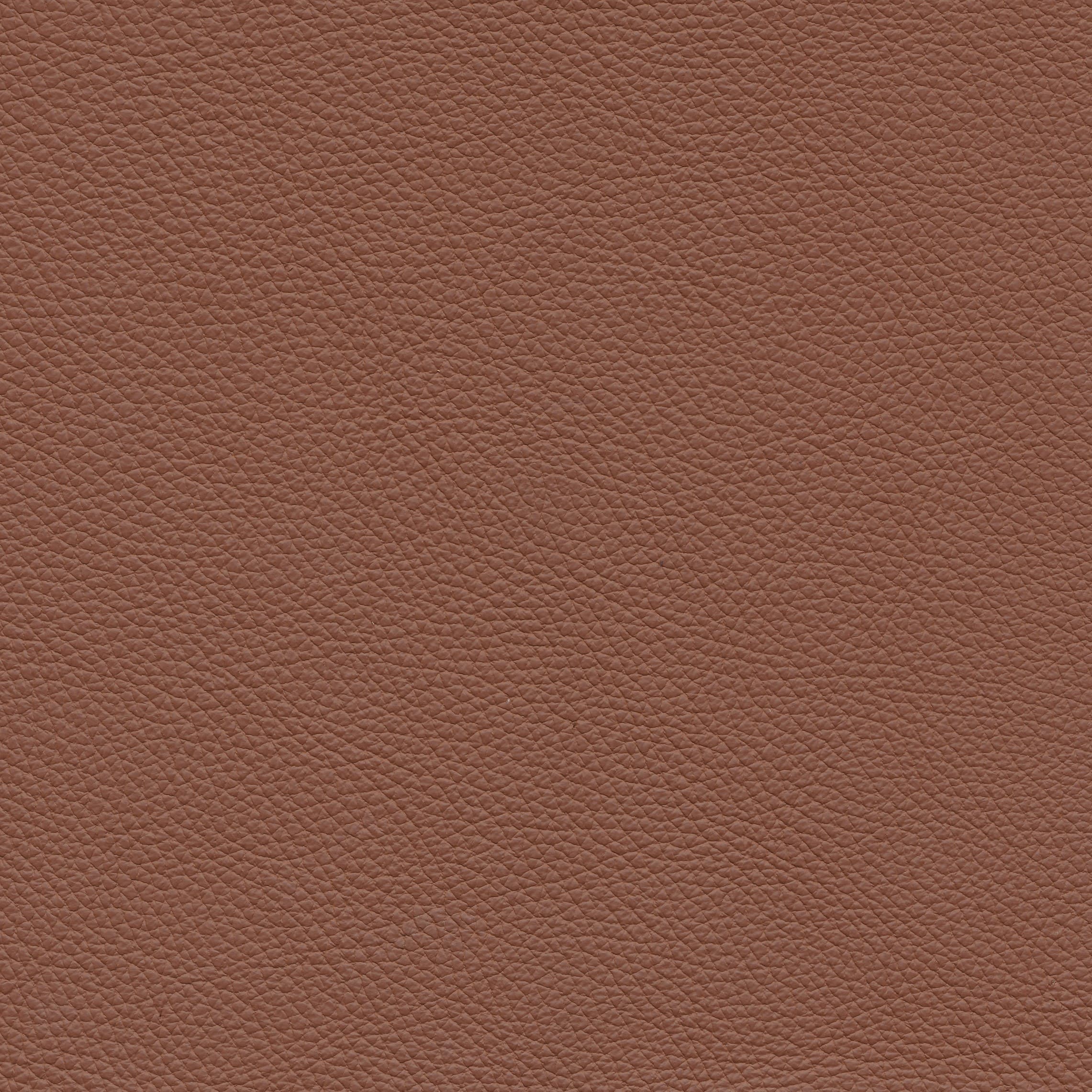 Leder W2 983 natur