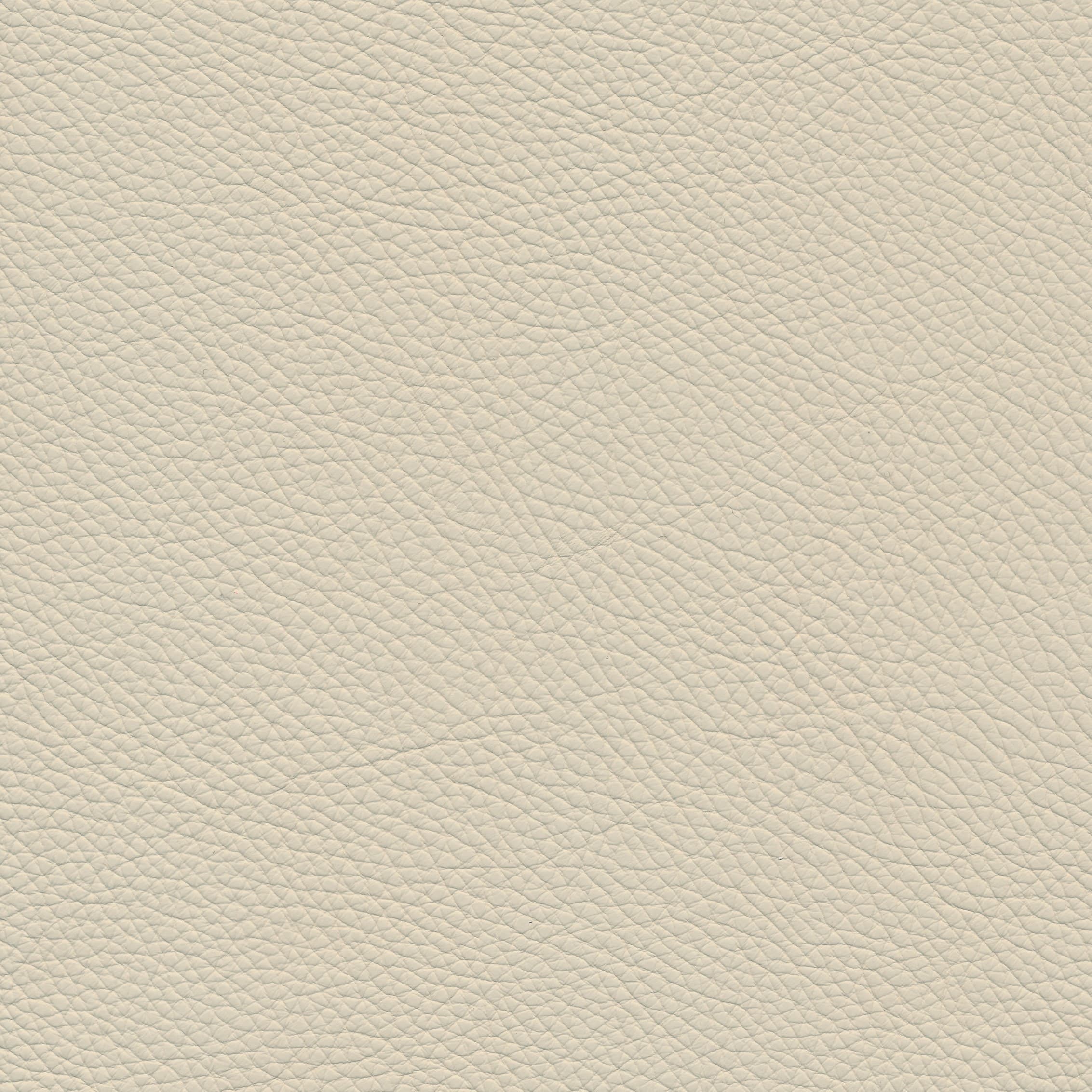 Leder W2 979 avorio