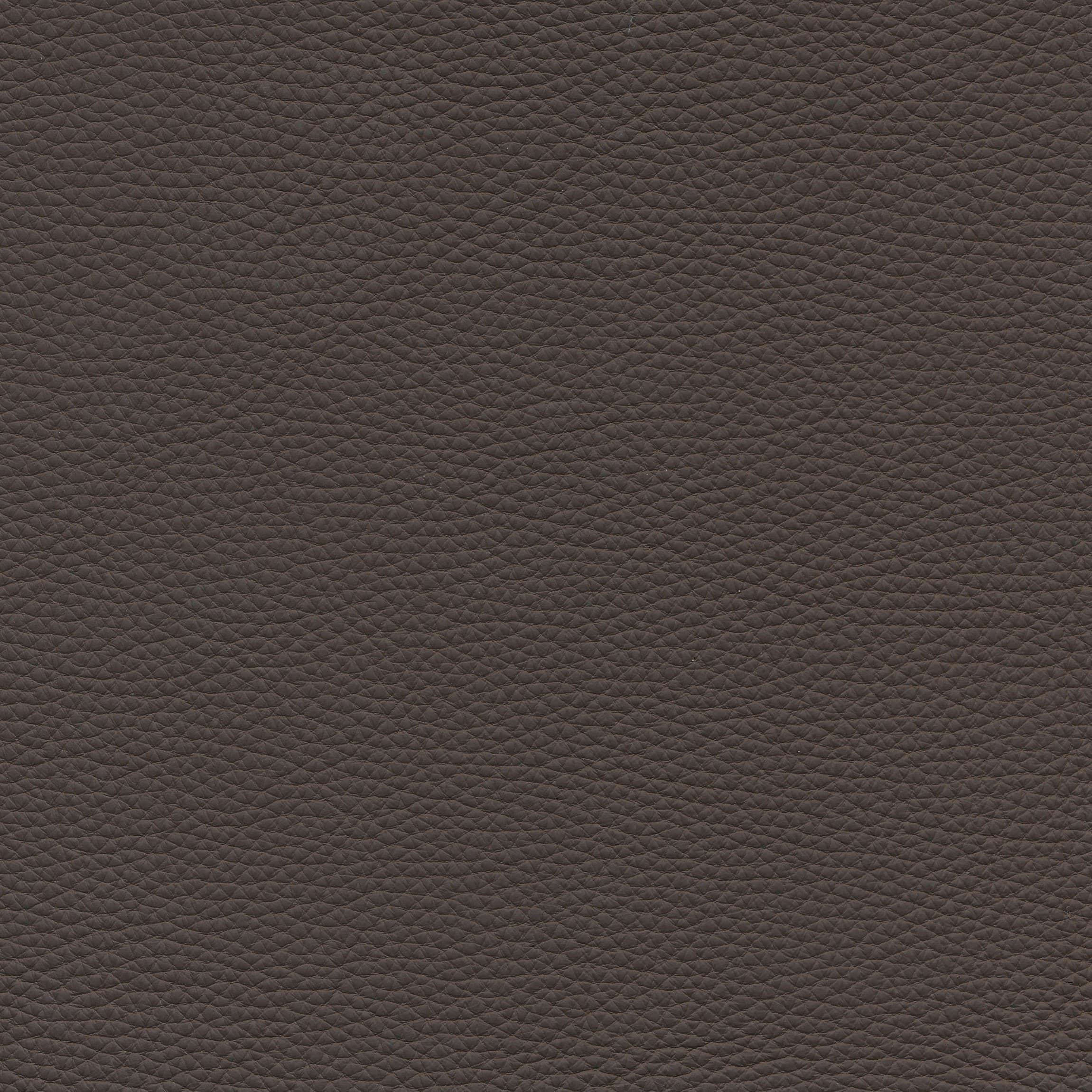 Leder W2 55 espresso