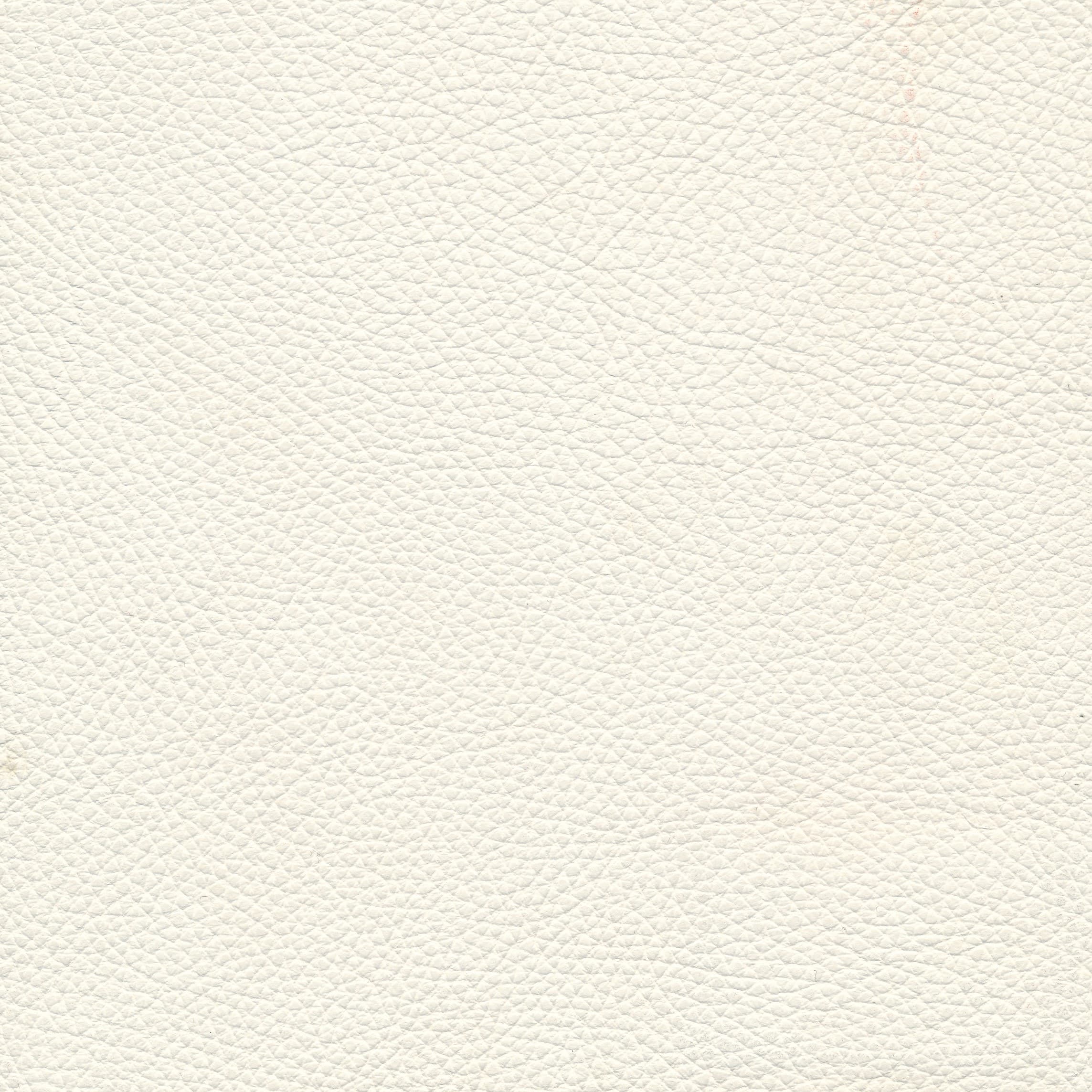 Leder W2 010 pure white